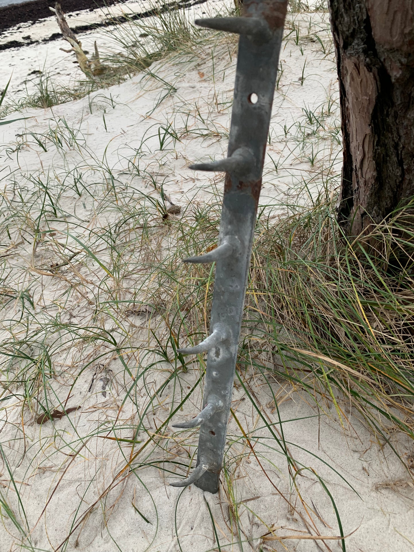 Französischer Metzgerhaken