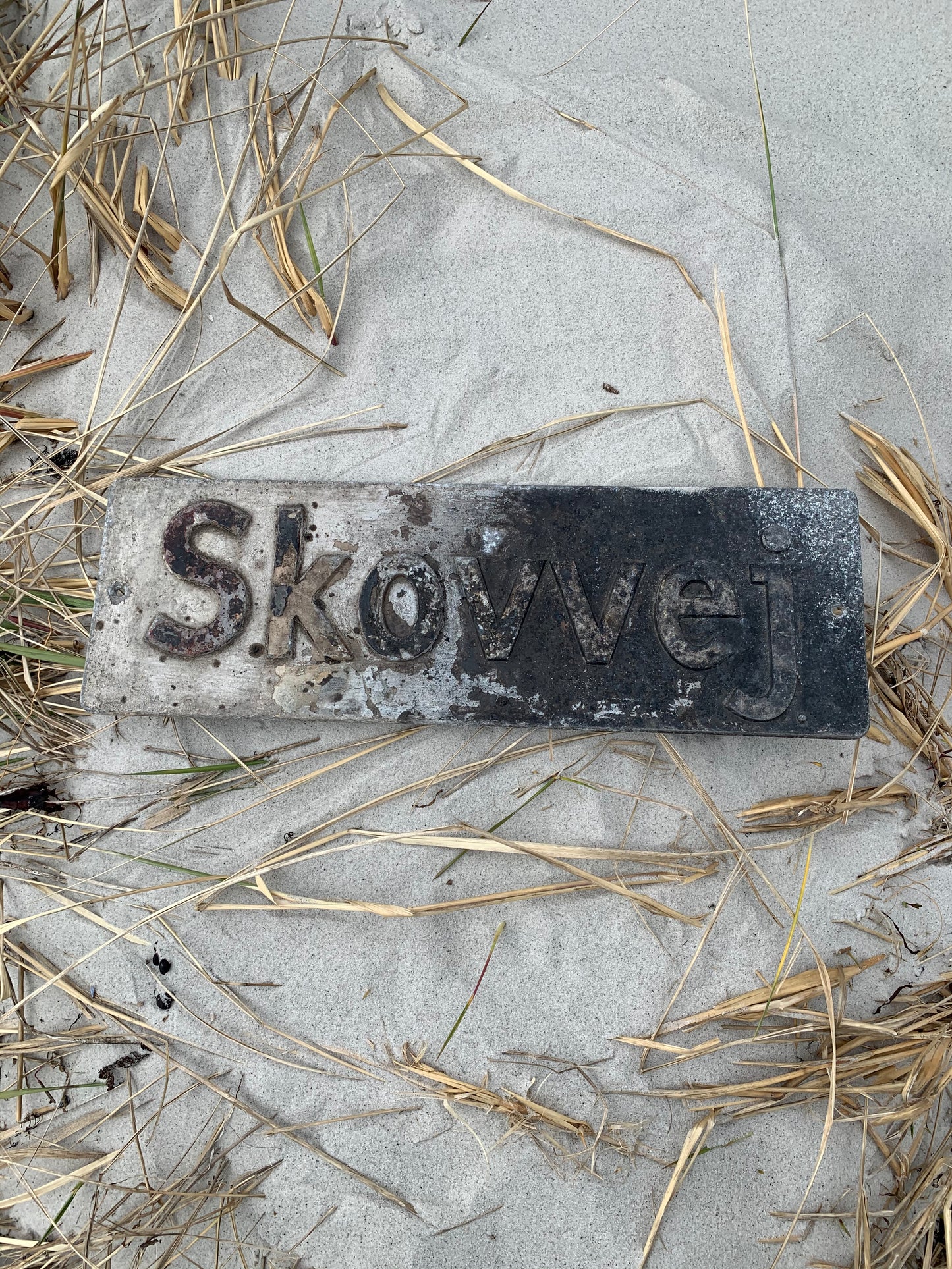 Straßenschild - Skovvej
