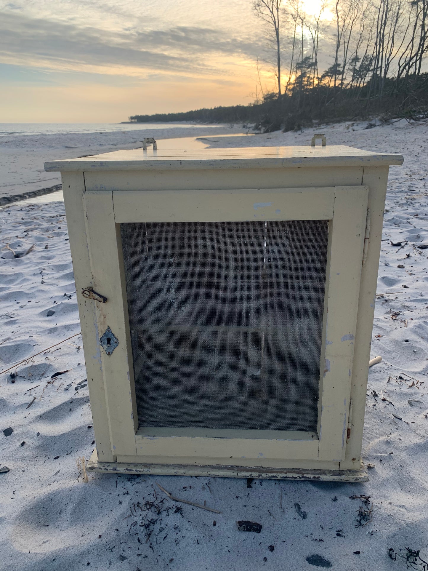 Wunderschöner Fliegenschrank mit Patina
