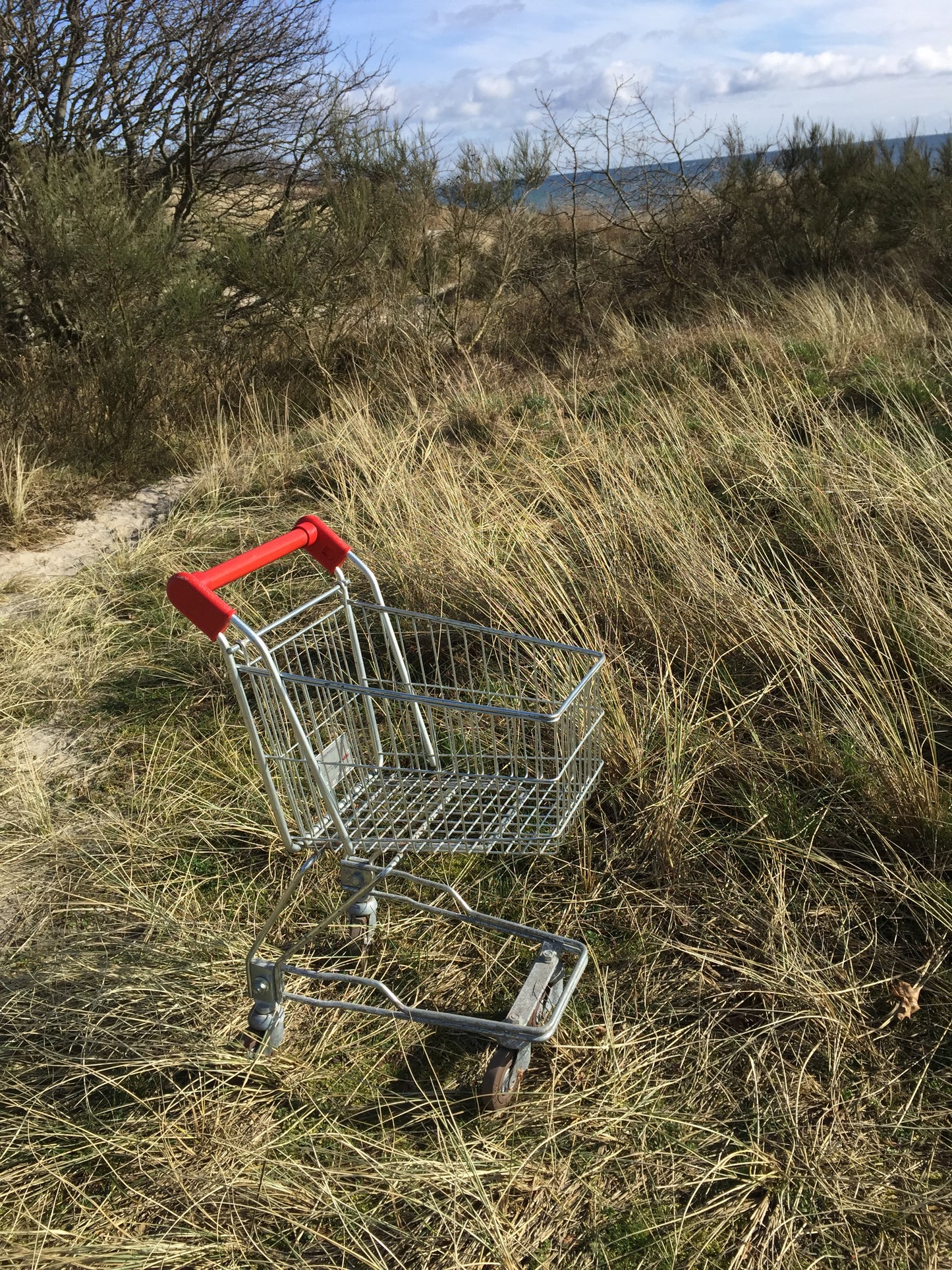 Schöner Einkaufswagen für Kinder