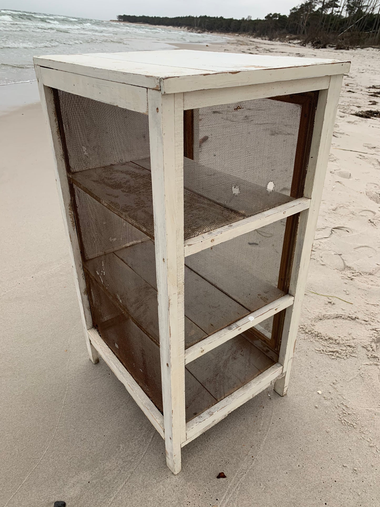 Schöner alter Fliegenschrank