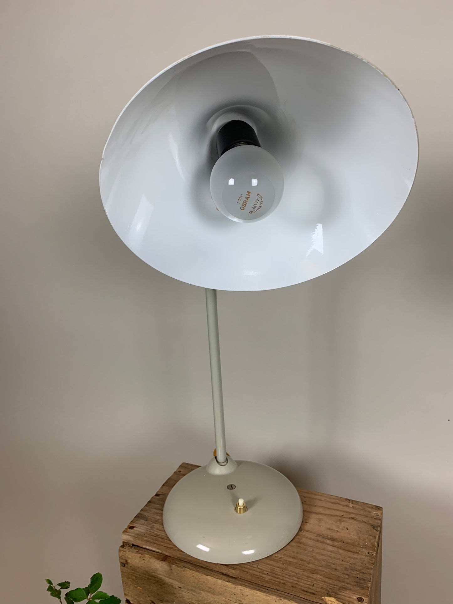 Graue Hala-Tischlampe mit schönen weichen Linien