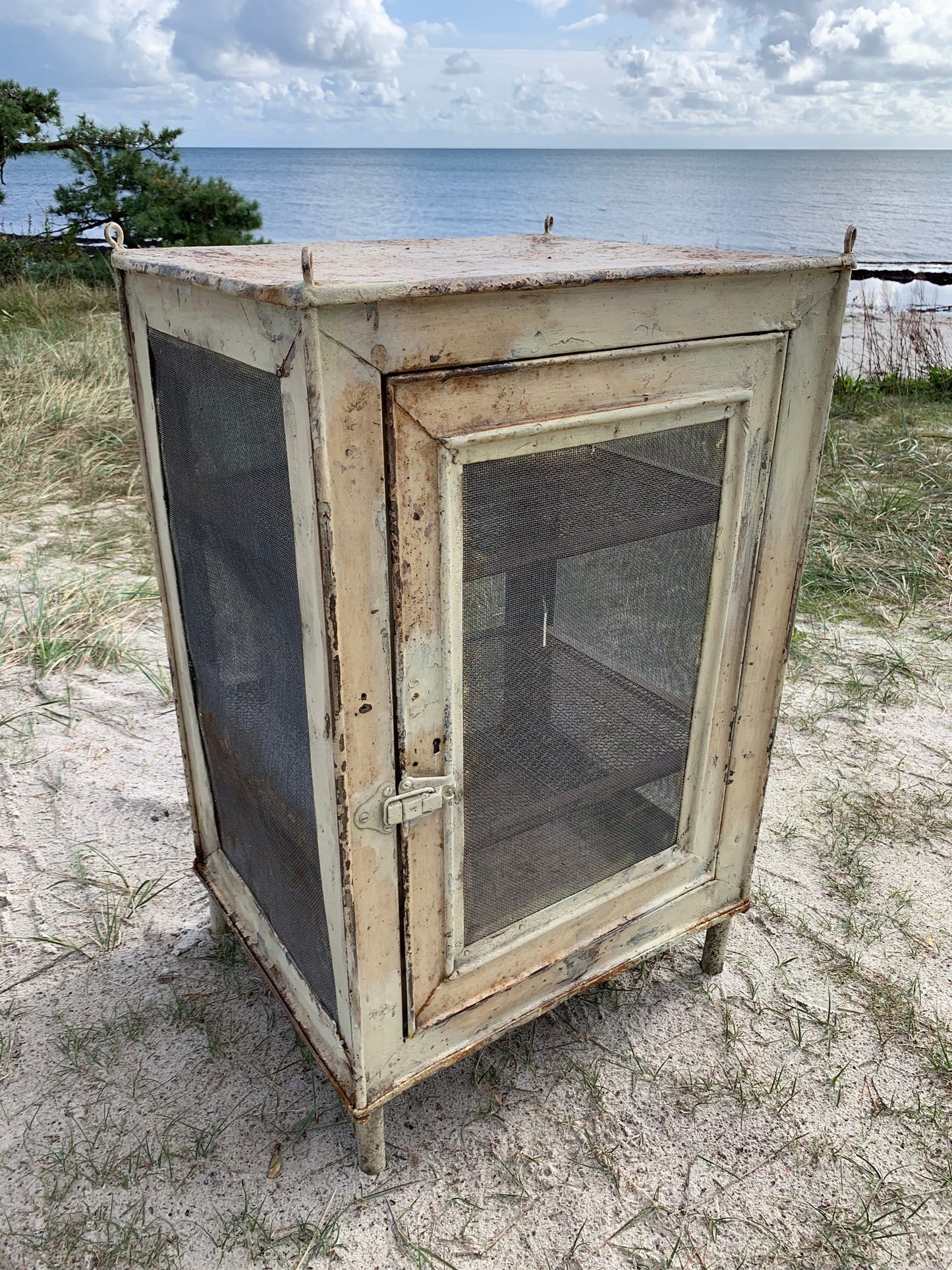 Schöner Fliegenschrank mit Beinen und Regalen