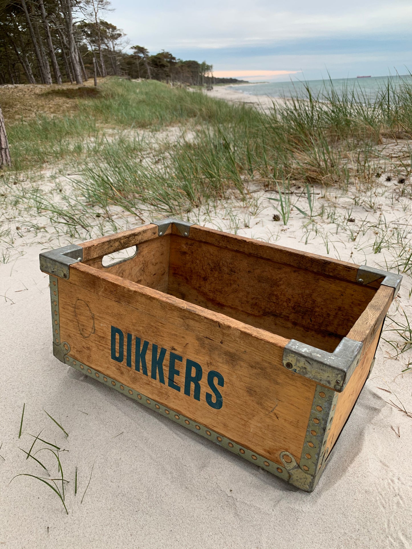 Schachtel DIKKERS