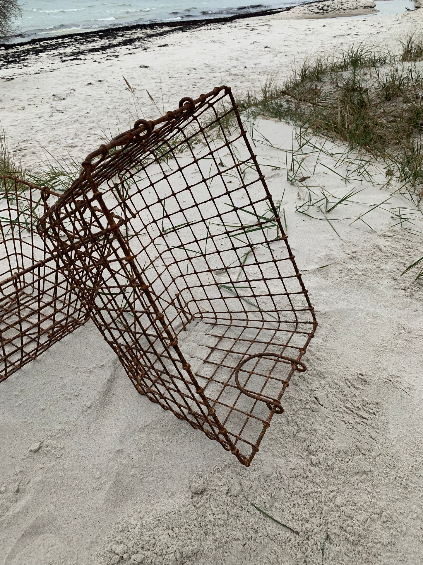 Französischer Austernkorb