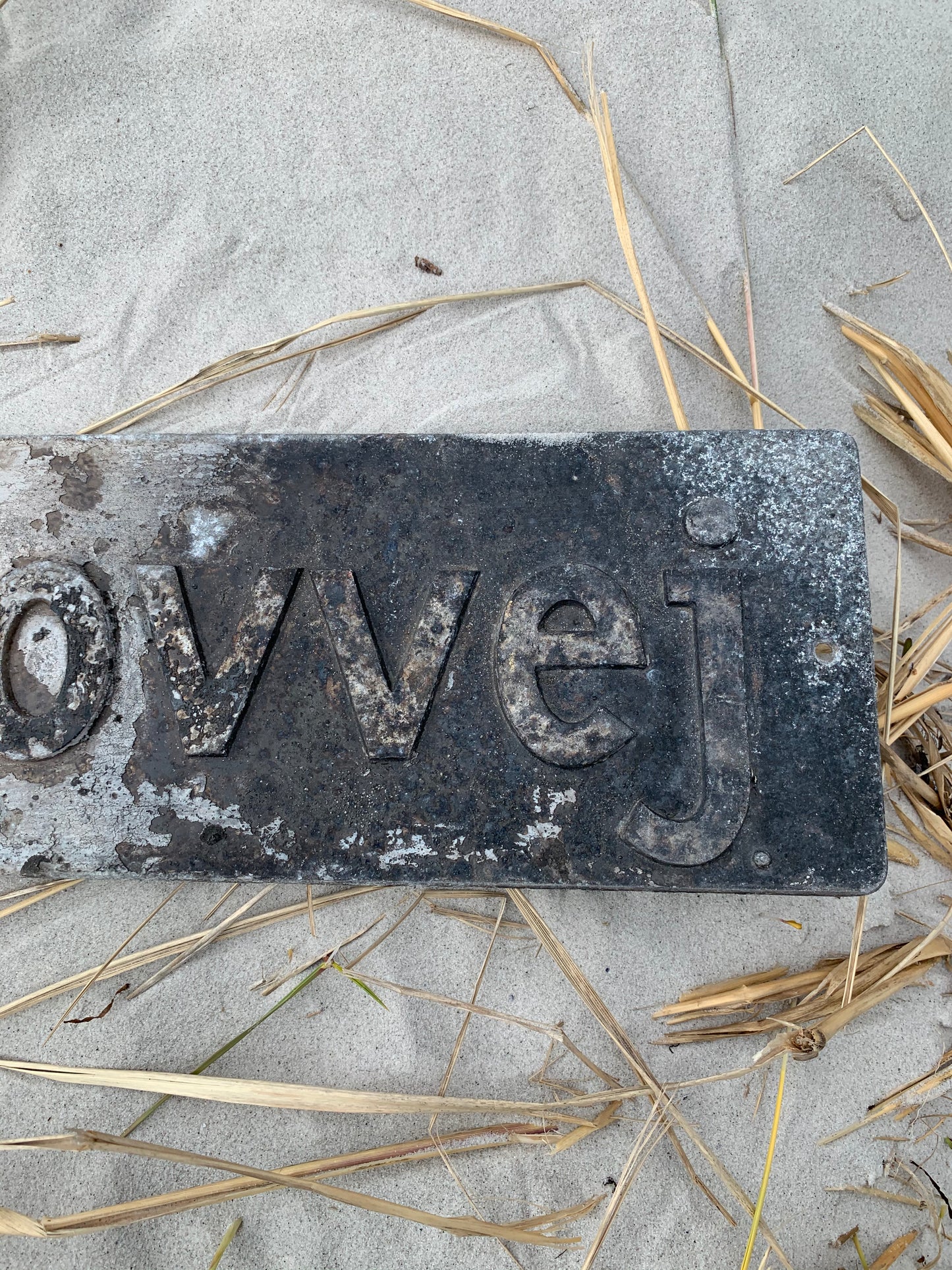 Straßenschild - Skovvej