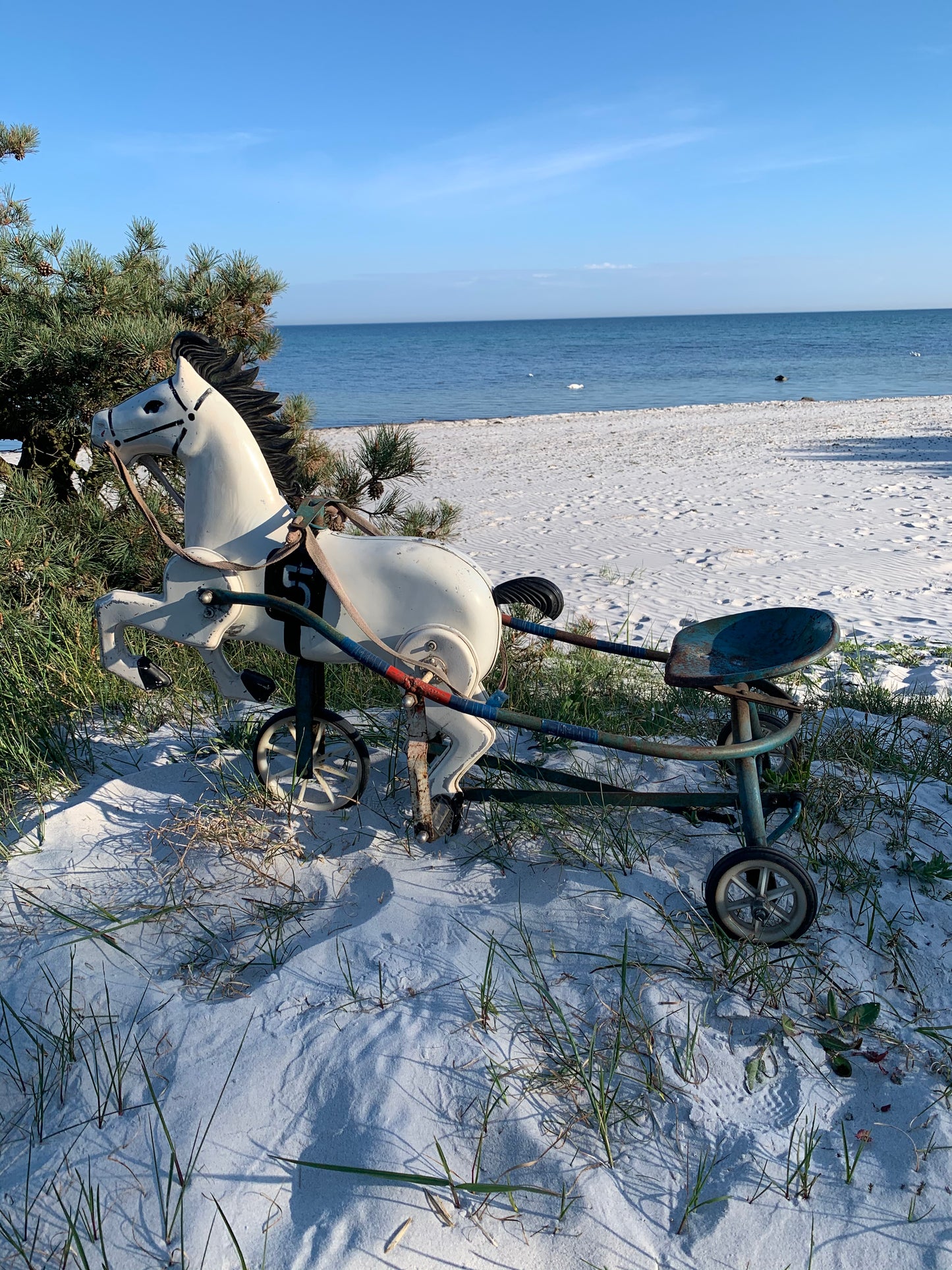 Pferd mit Wagen
