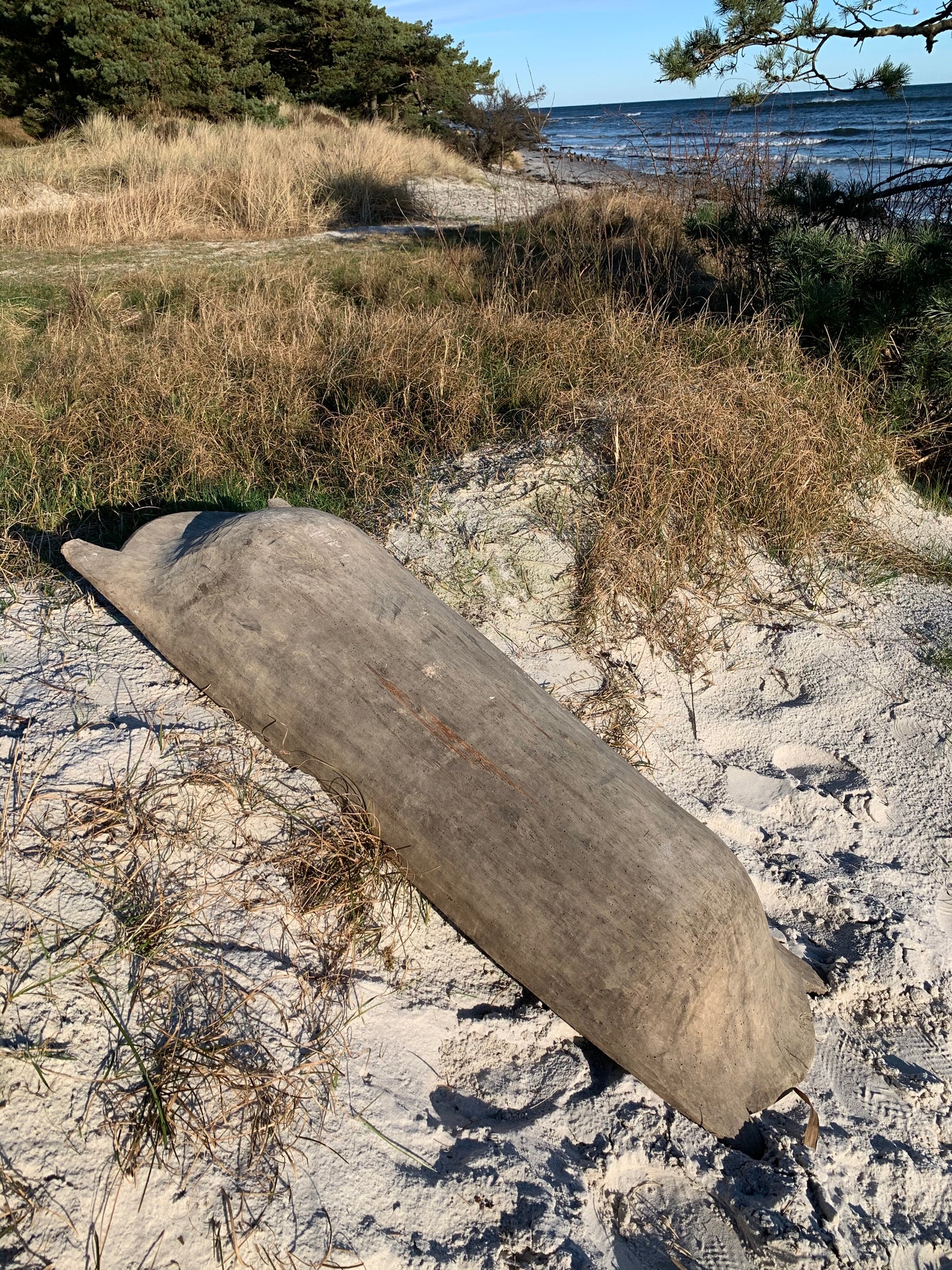 Sehr große Außensohle