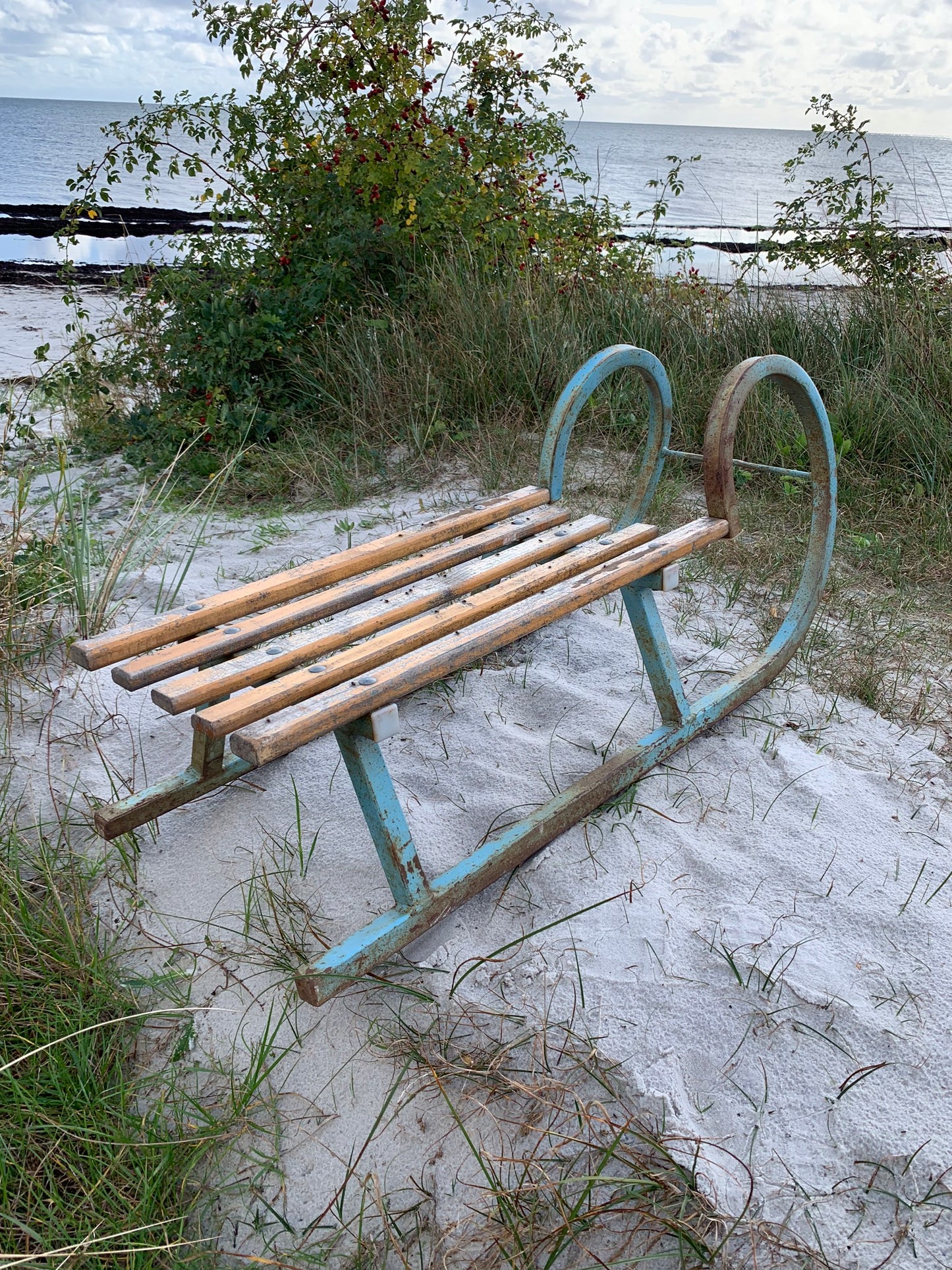 Dekorativer Schlitten mit schönen Details