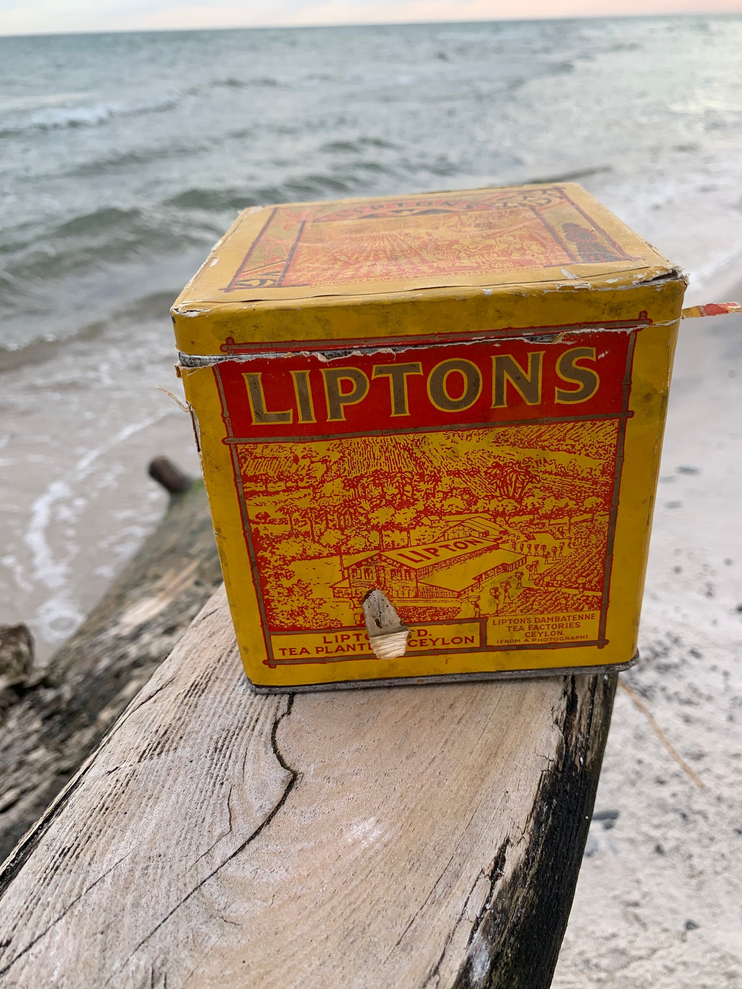 Lipton Teedose