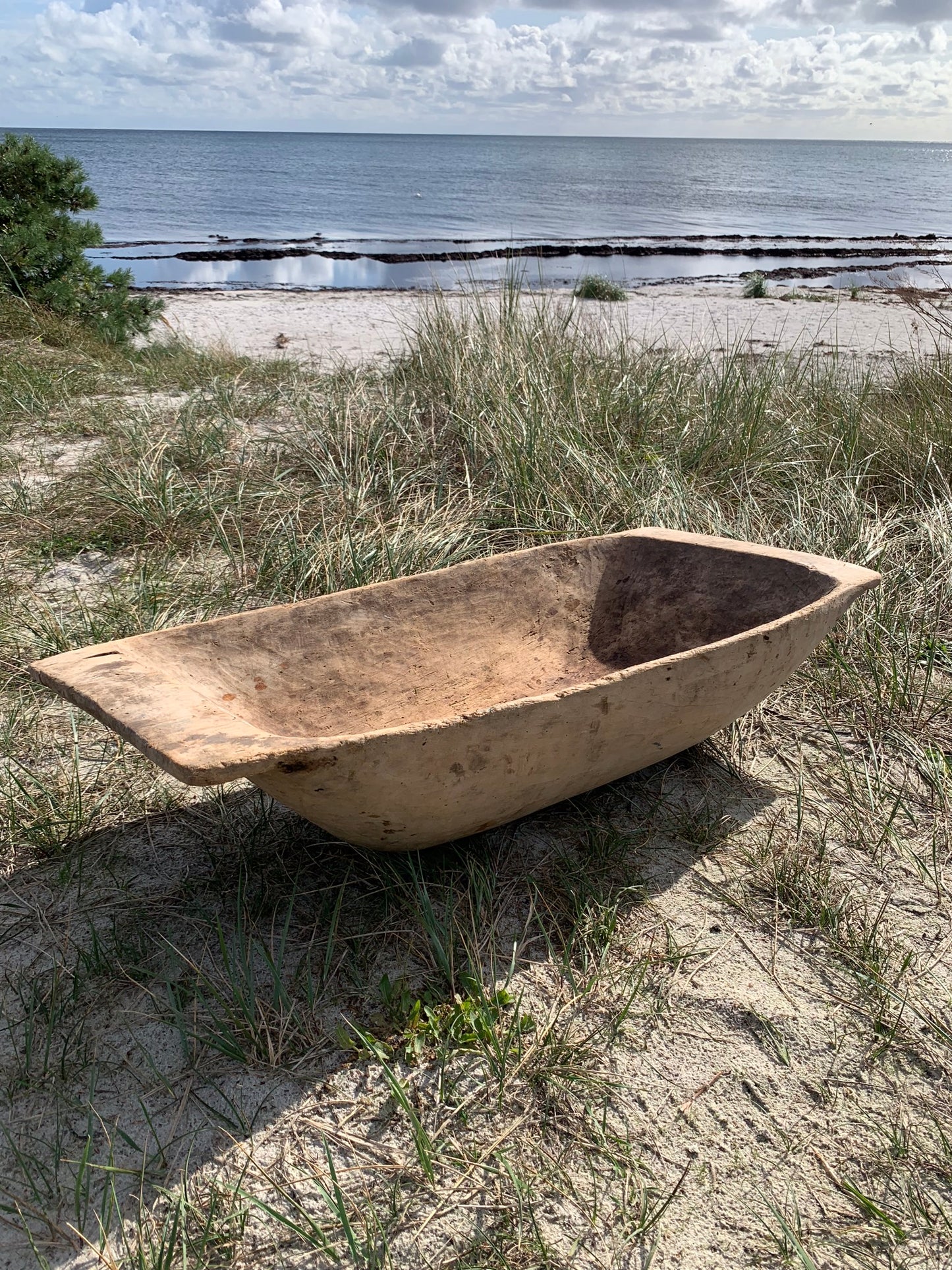 Sehr große und leckere Seezunge oder Seezungenbehälter
