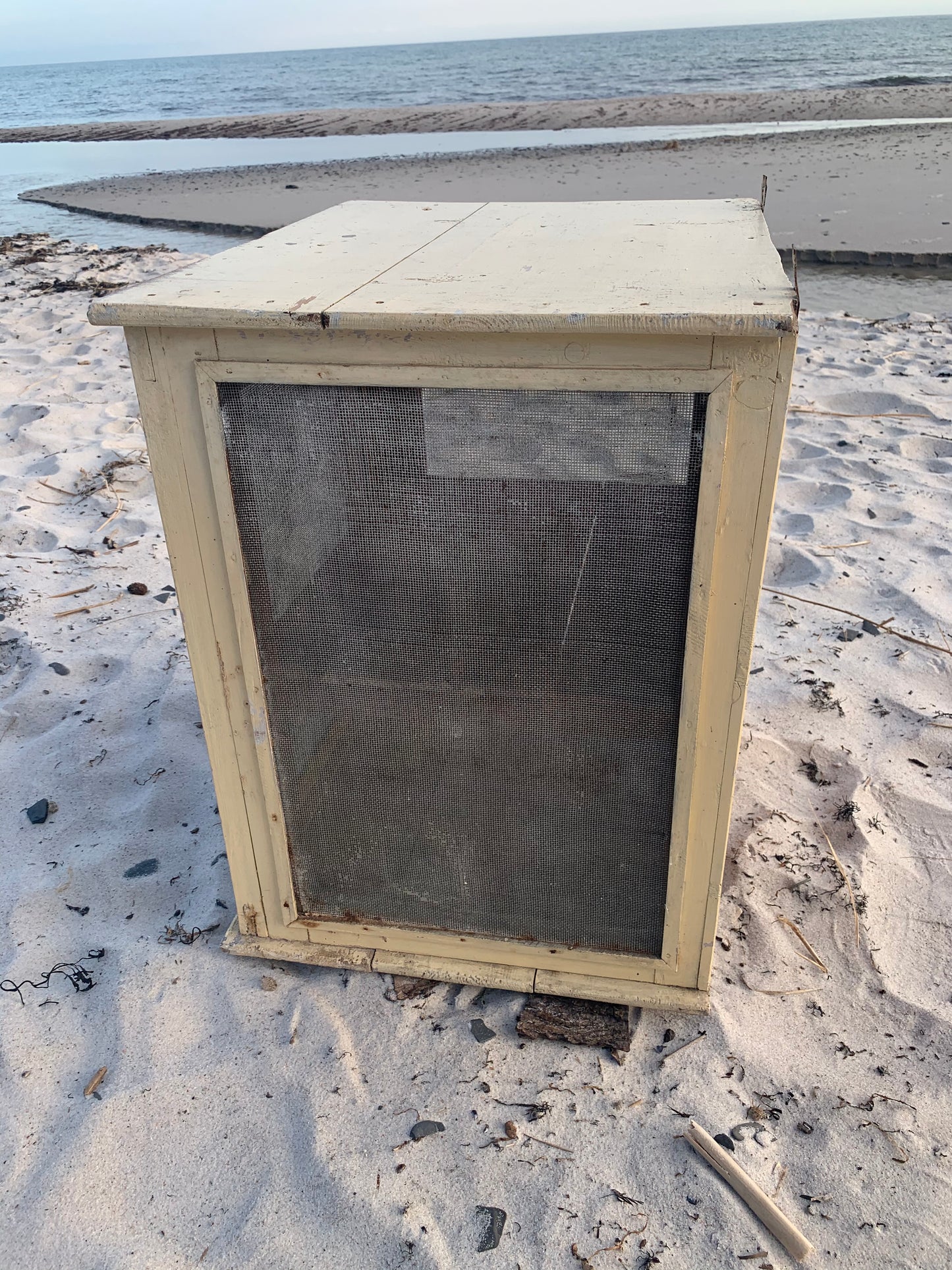 Wunderschöner Fliegenschrank mit Patina