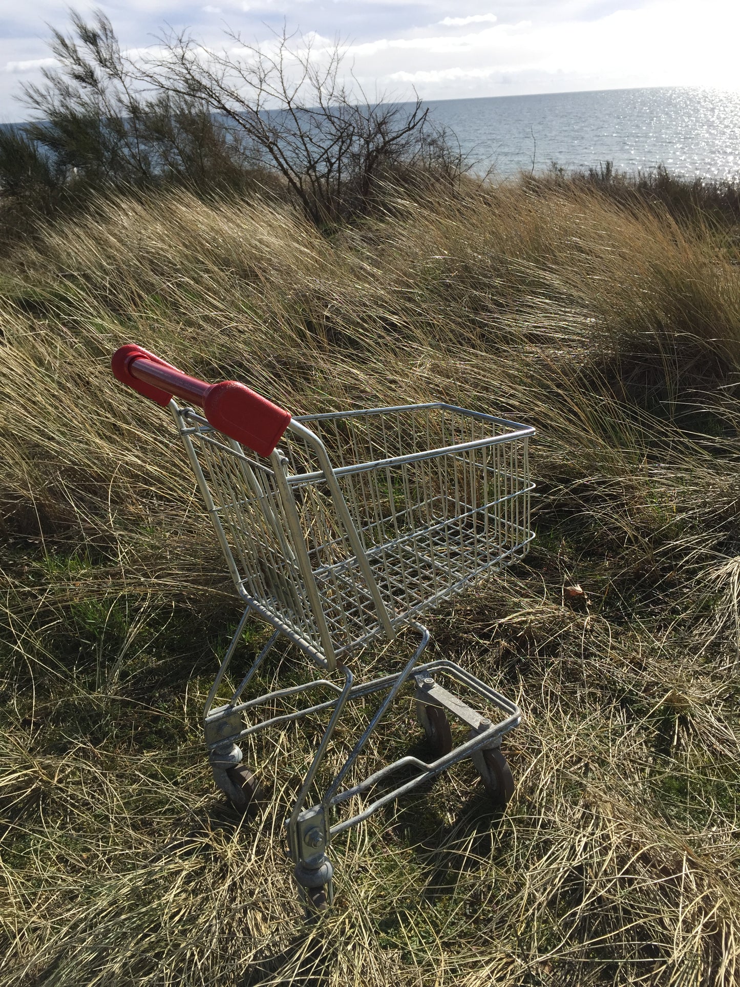 Schöner Einkaufswagen für Kinder