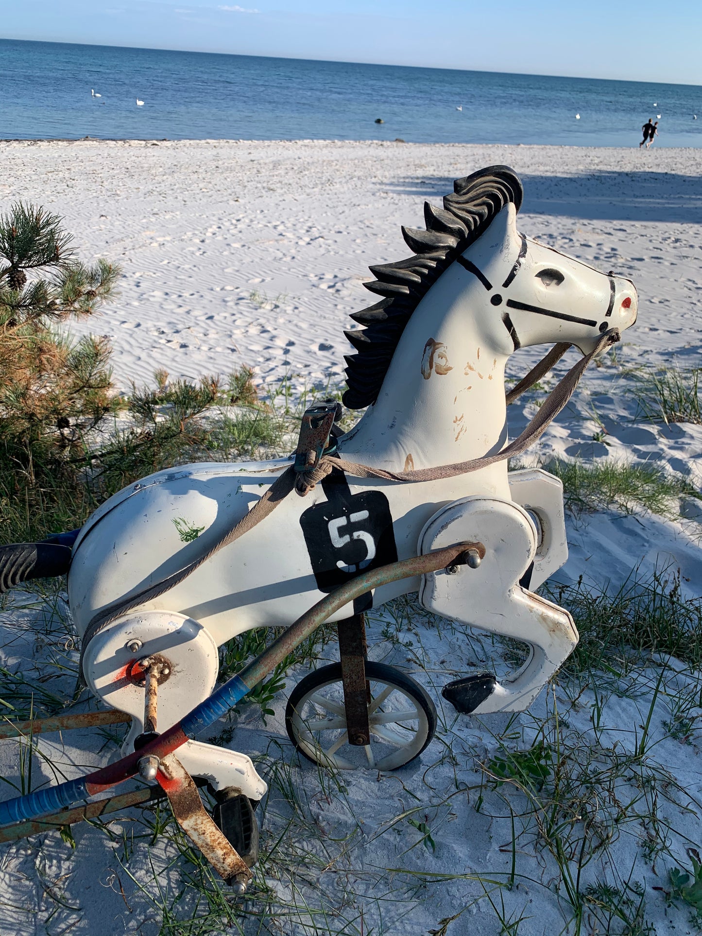 Pferd mit Wagen
