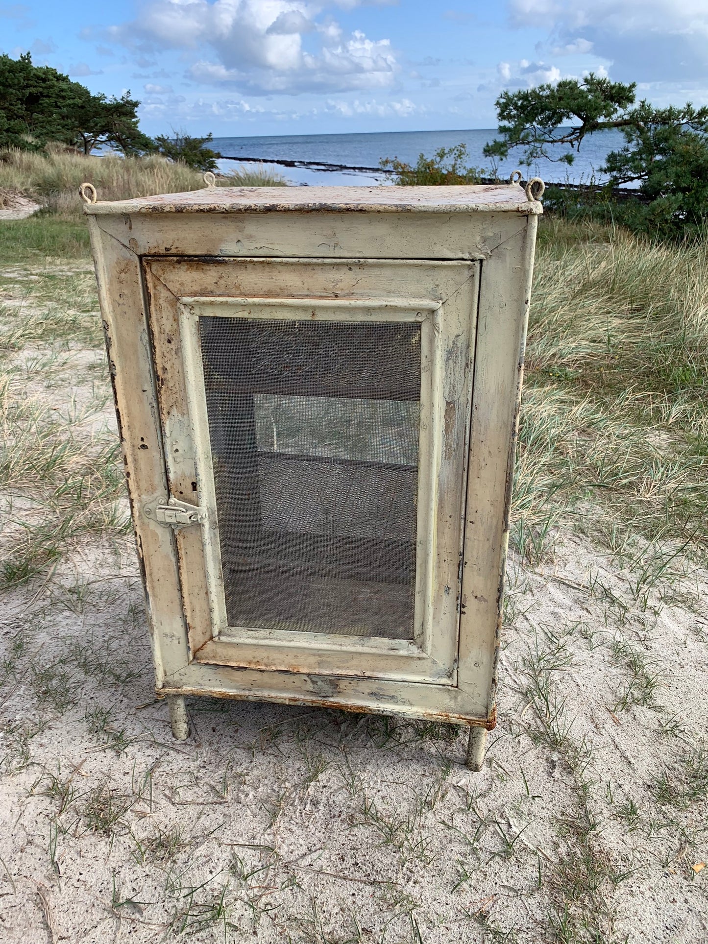 Schöner Fliegenschrank mit Beinen und Regalen