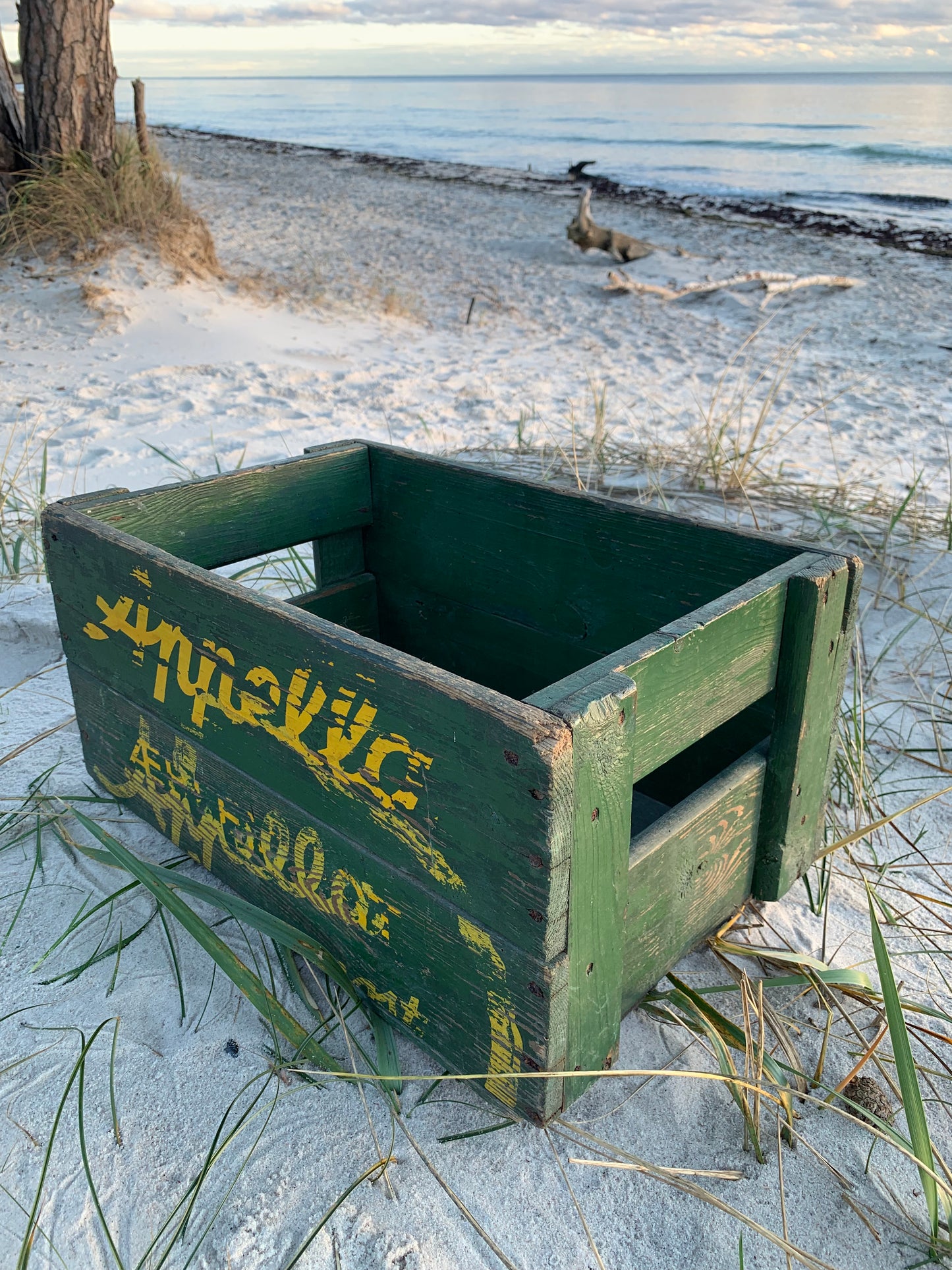 Apfelwein-Box