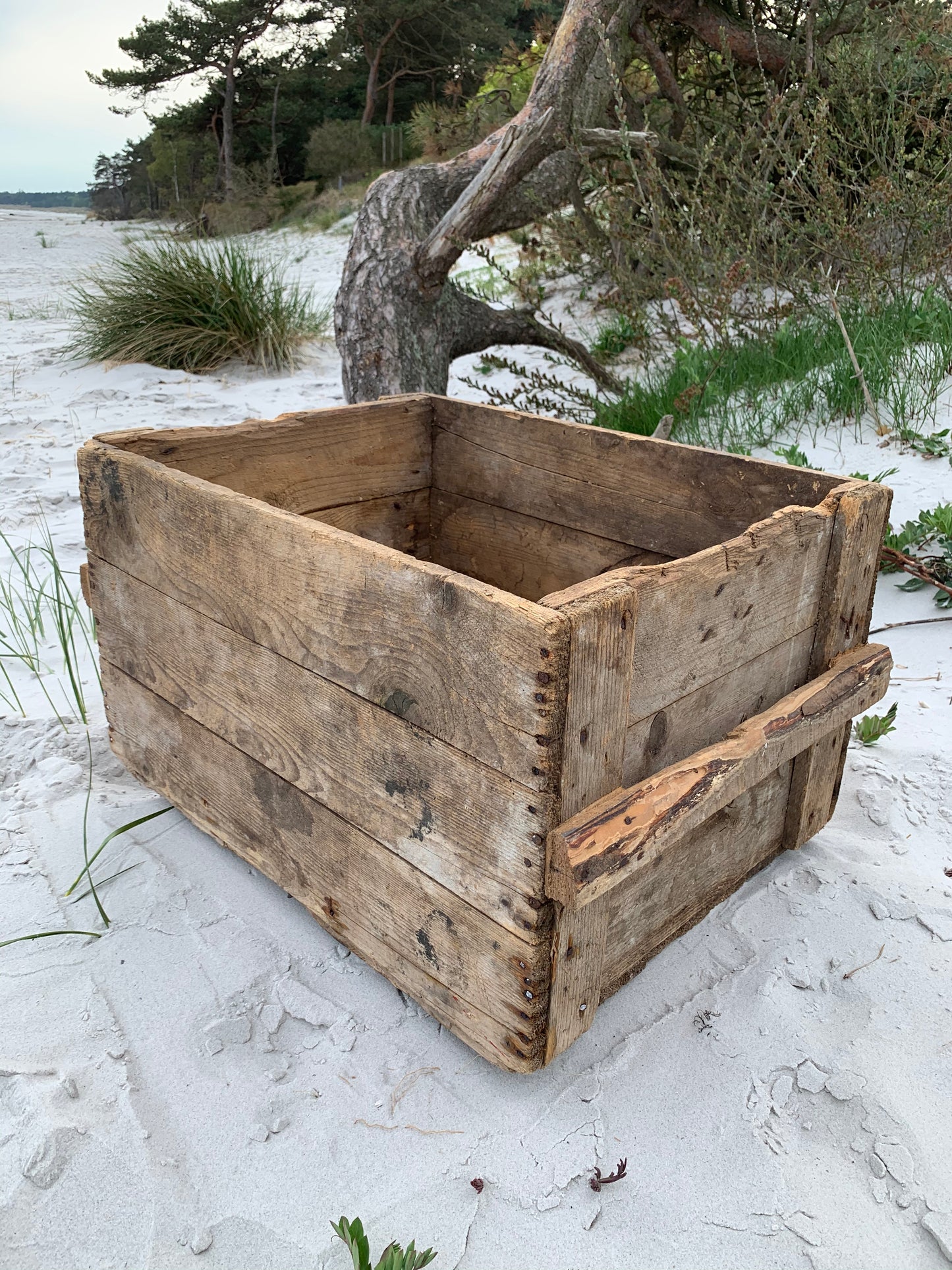 Große Holzkiste mit viel Patina