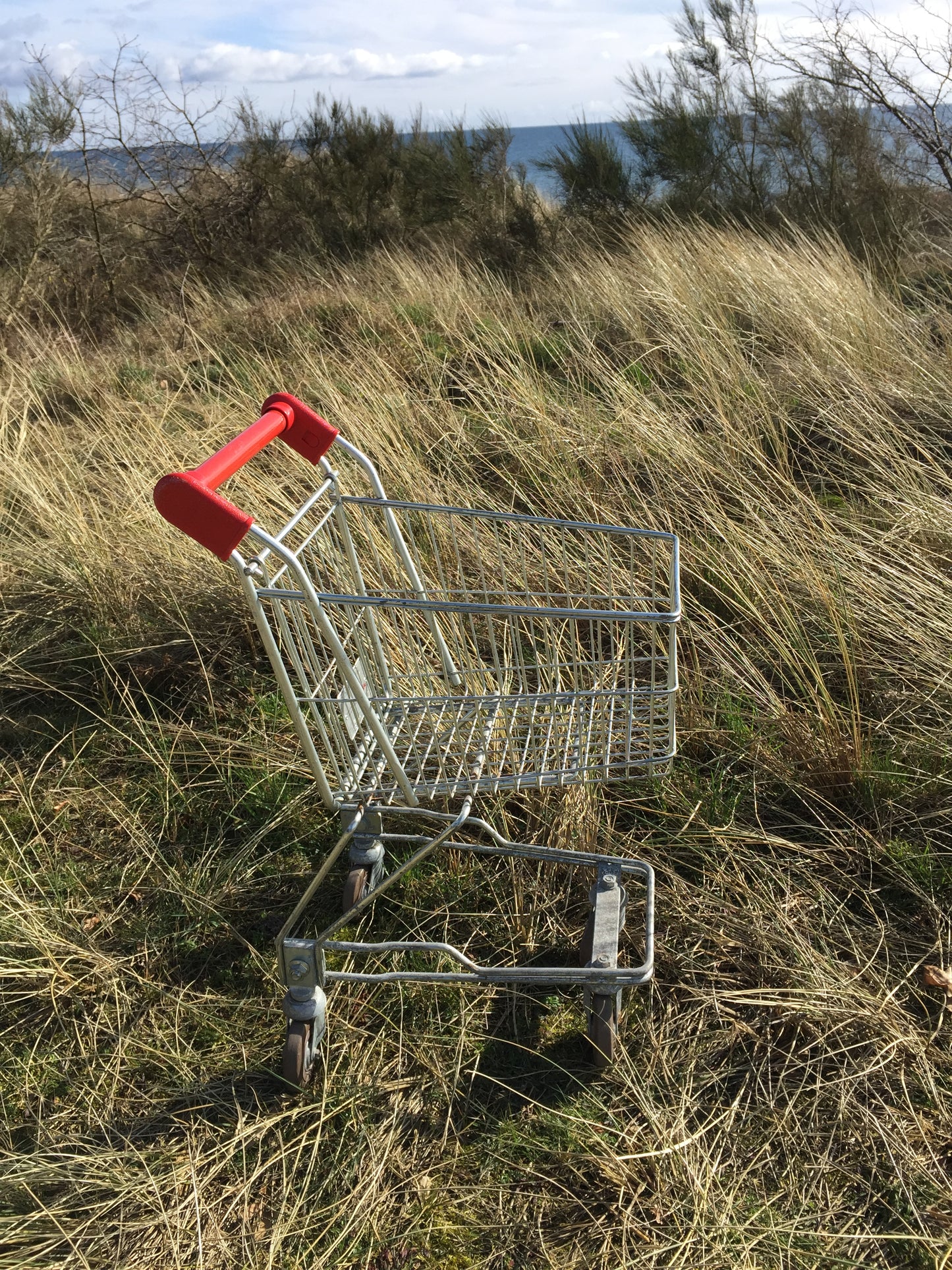 Schöner Einkaufswagen für Kinder