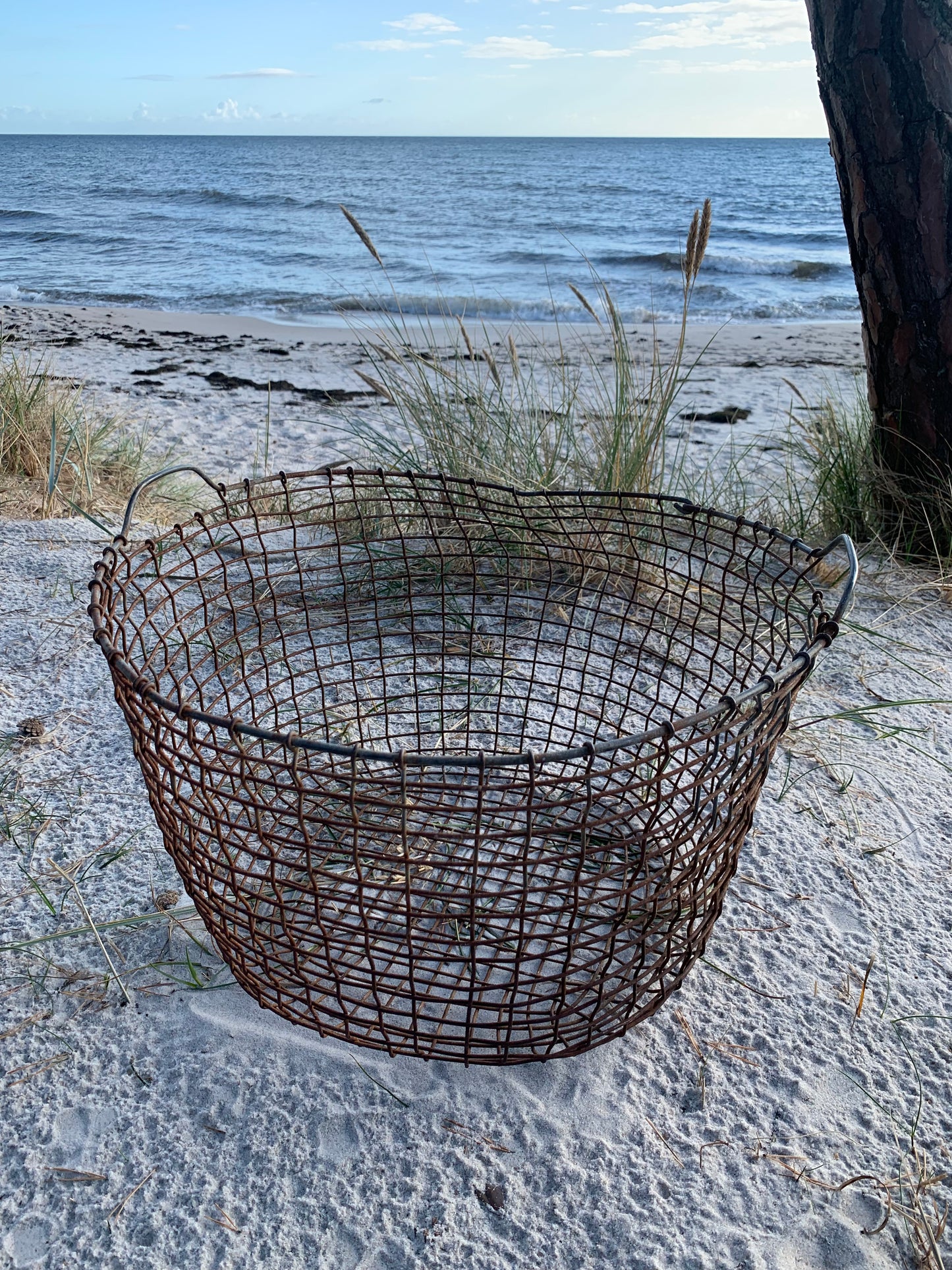 Drahtkorb