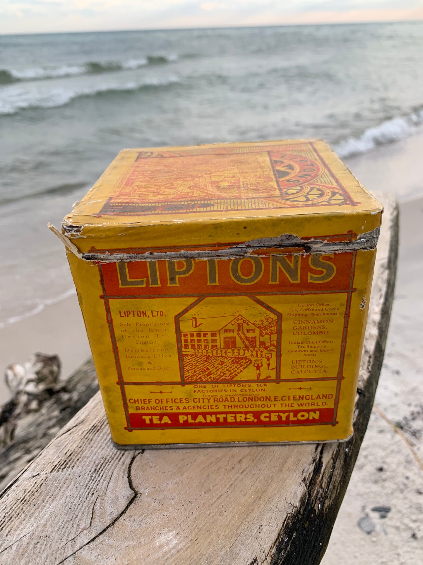 Lipton Teedose