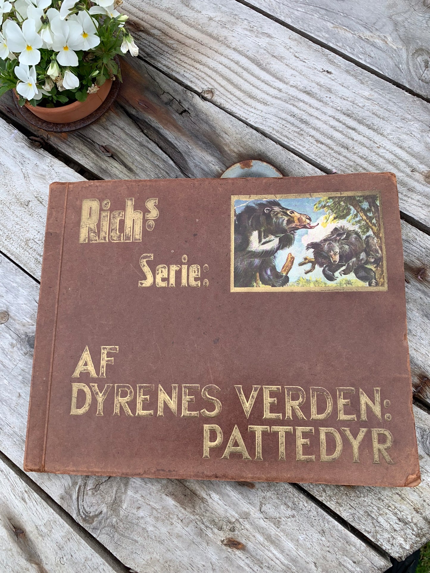 Rich's Animal World Compilation Album (Säugetiere)