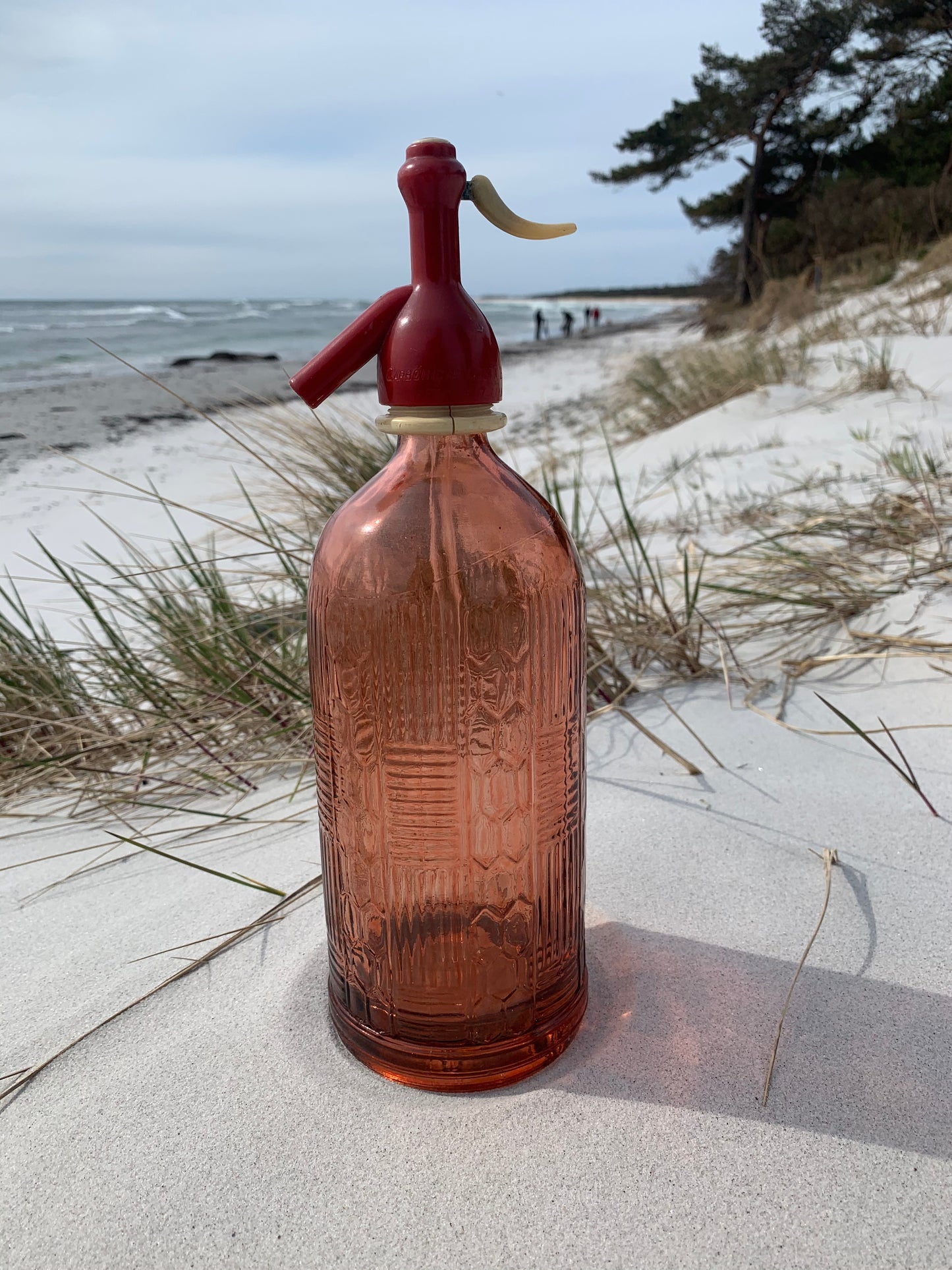 Siphon - Dunkelrot