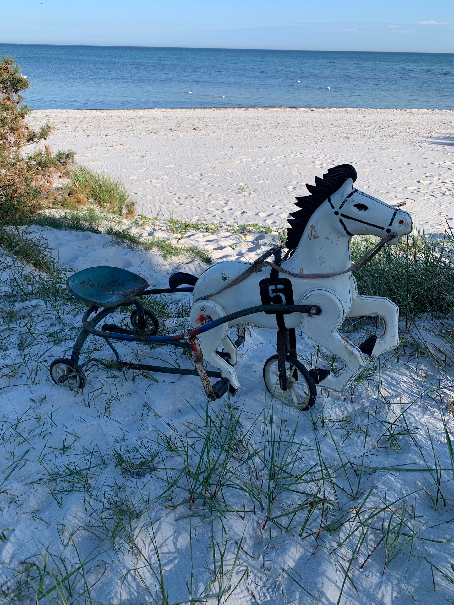 Pferd mit Wagen