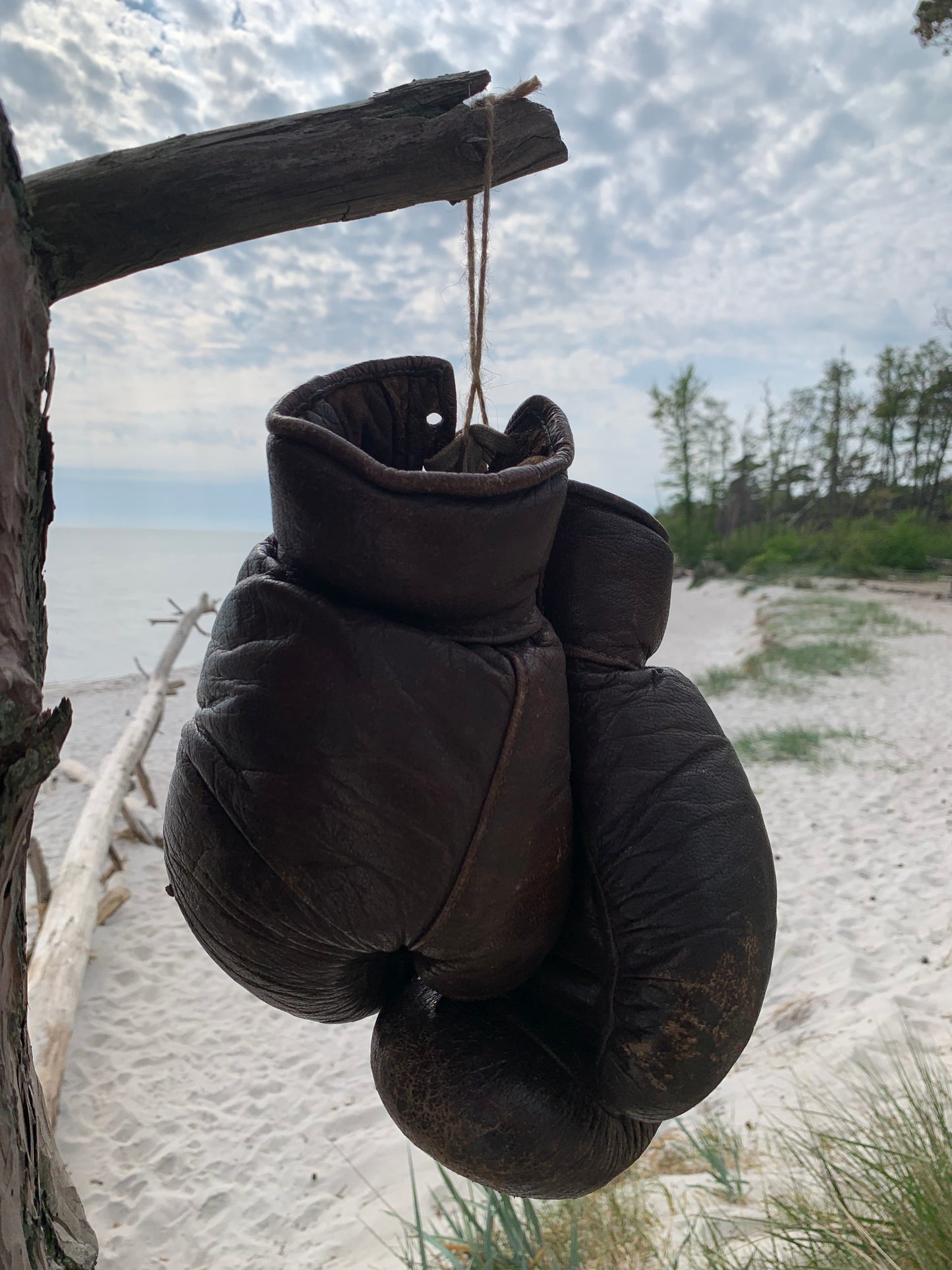 Boxhandschuhe