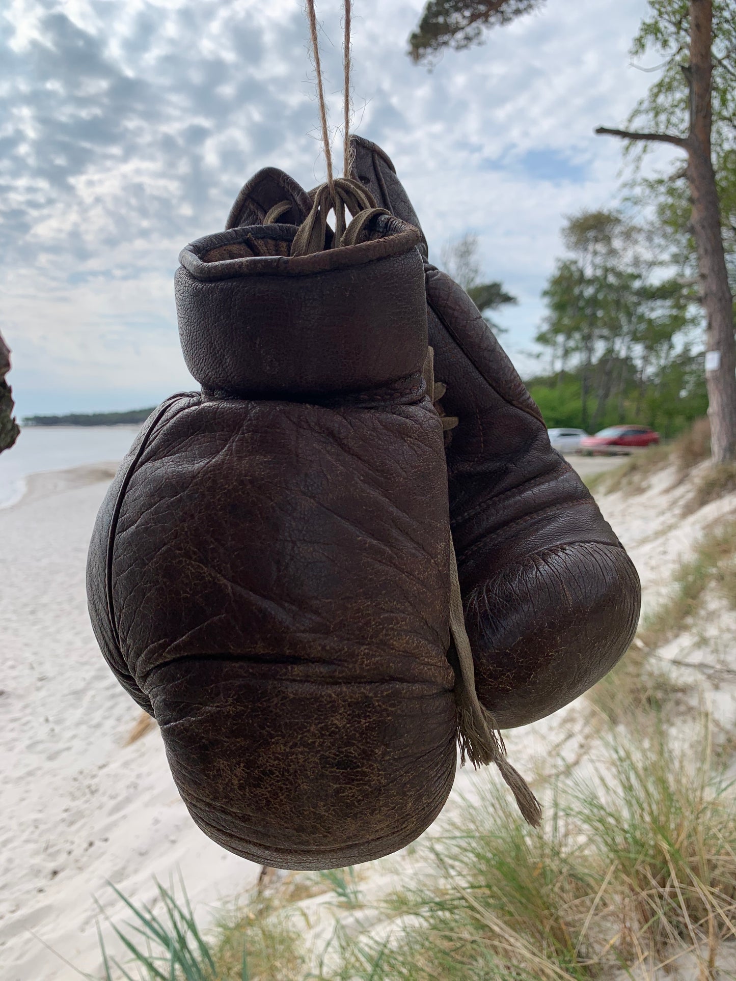 Boxhandschuhe