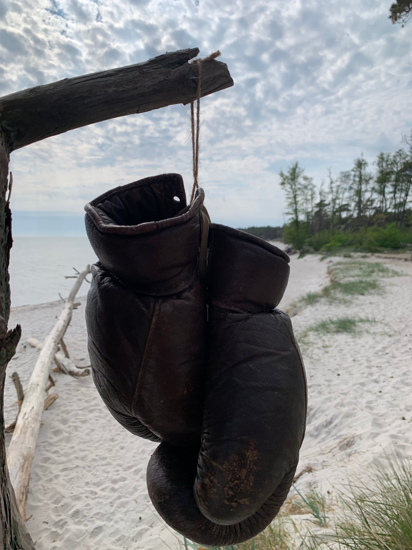 Boxhandschuhe