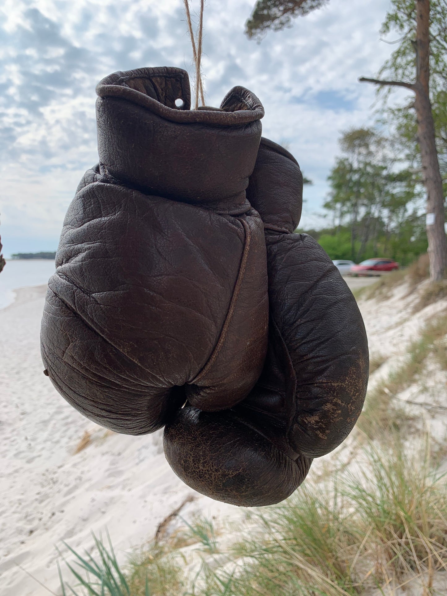 Boxhandschuhe