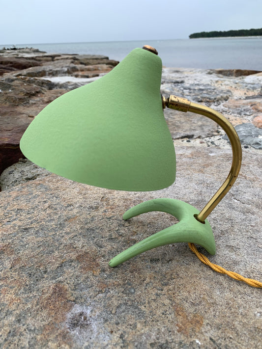 Cosack Crowfoot - Mini