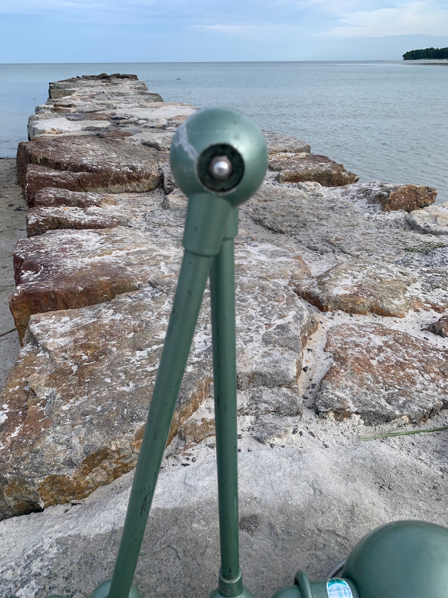 Jieldé Wand-/Deckenlampe mit zwei Armen - Grün
