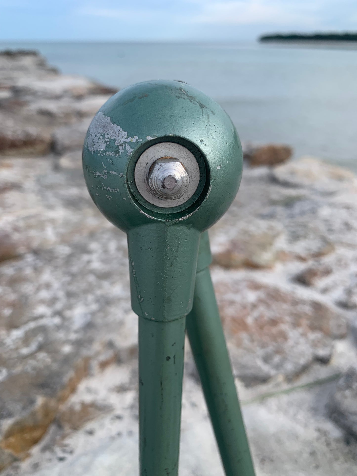 Jieldé Wand-/Deckenlampe mit zwei Armen - Grün