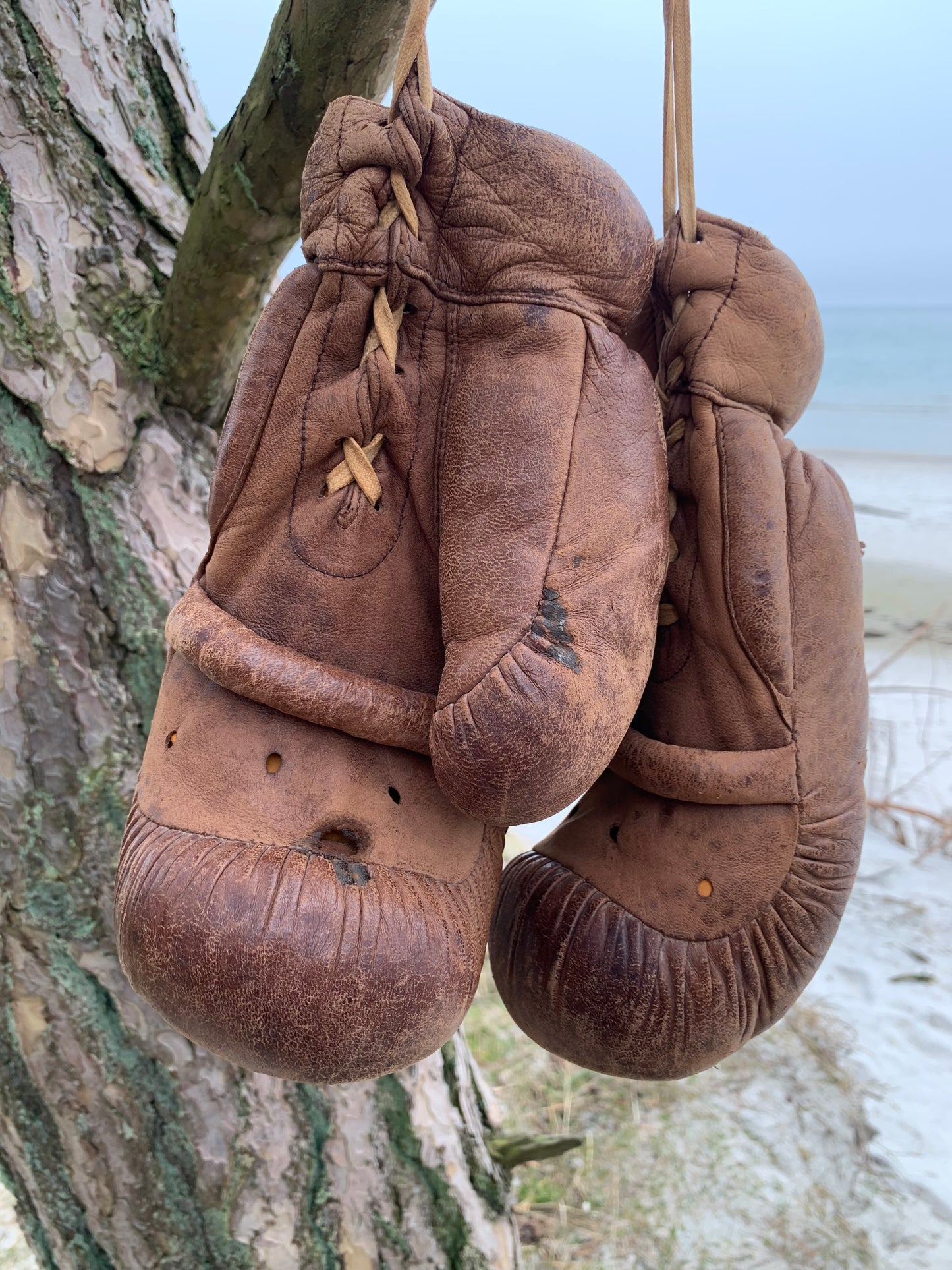 Vintage Boxhandschuhe