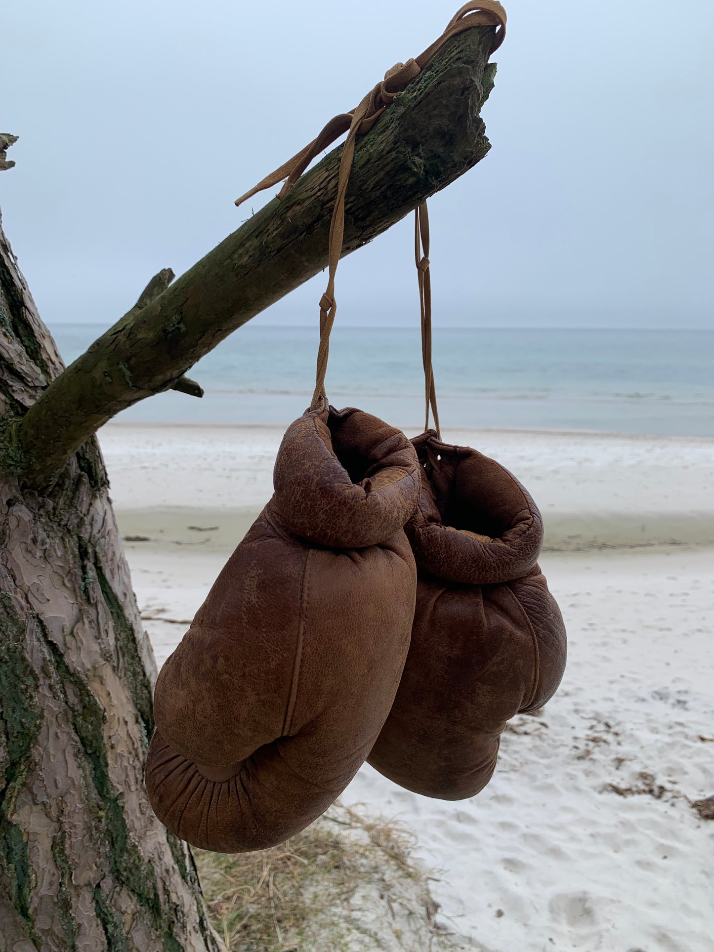 Vintage Boxhandschuhe