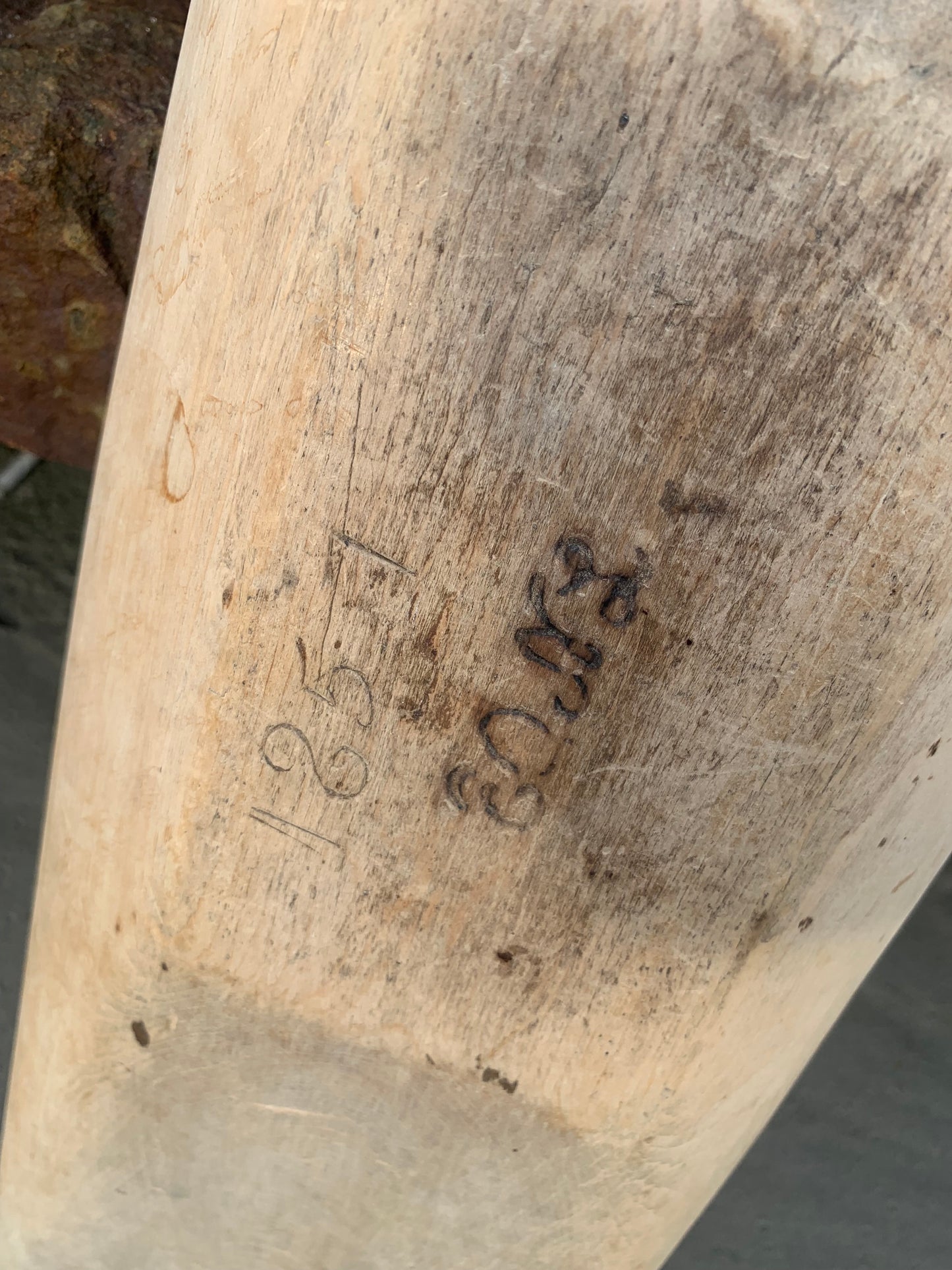 Einziges Gericht