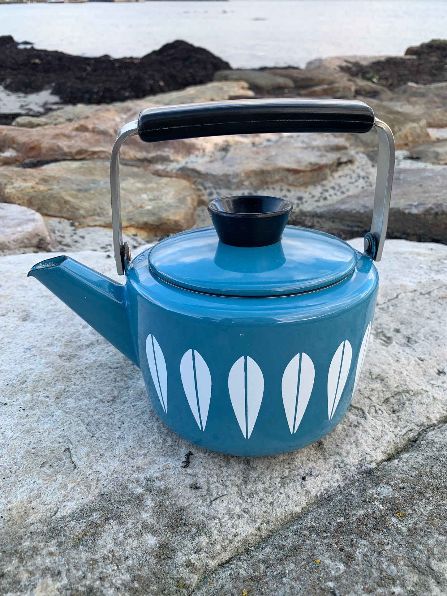 Cathrineholm Lotus Emaille-Wasserkocher