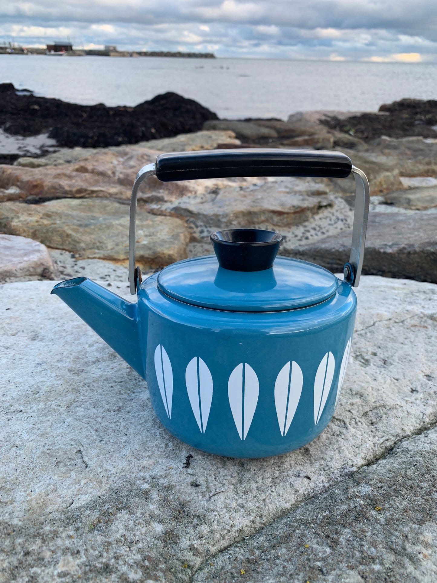 Cathrineholm Lotus Emaille-Wasserkocher