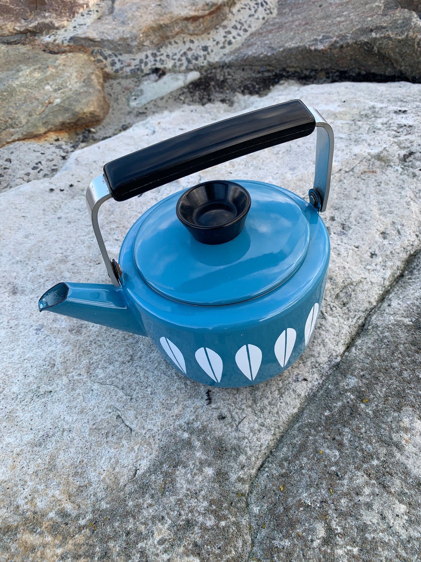 Cathrineholm Lotus Emaille-Wasserkocher