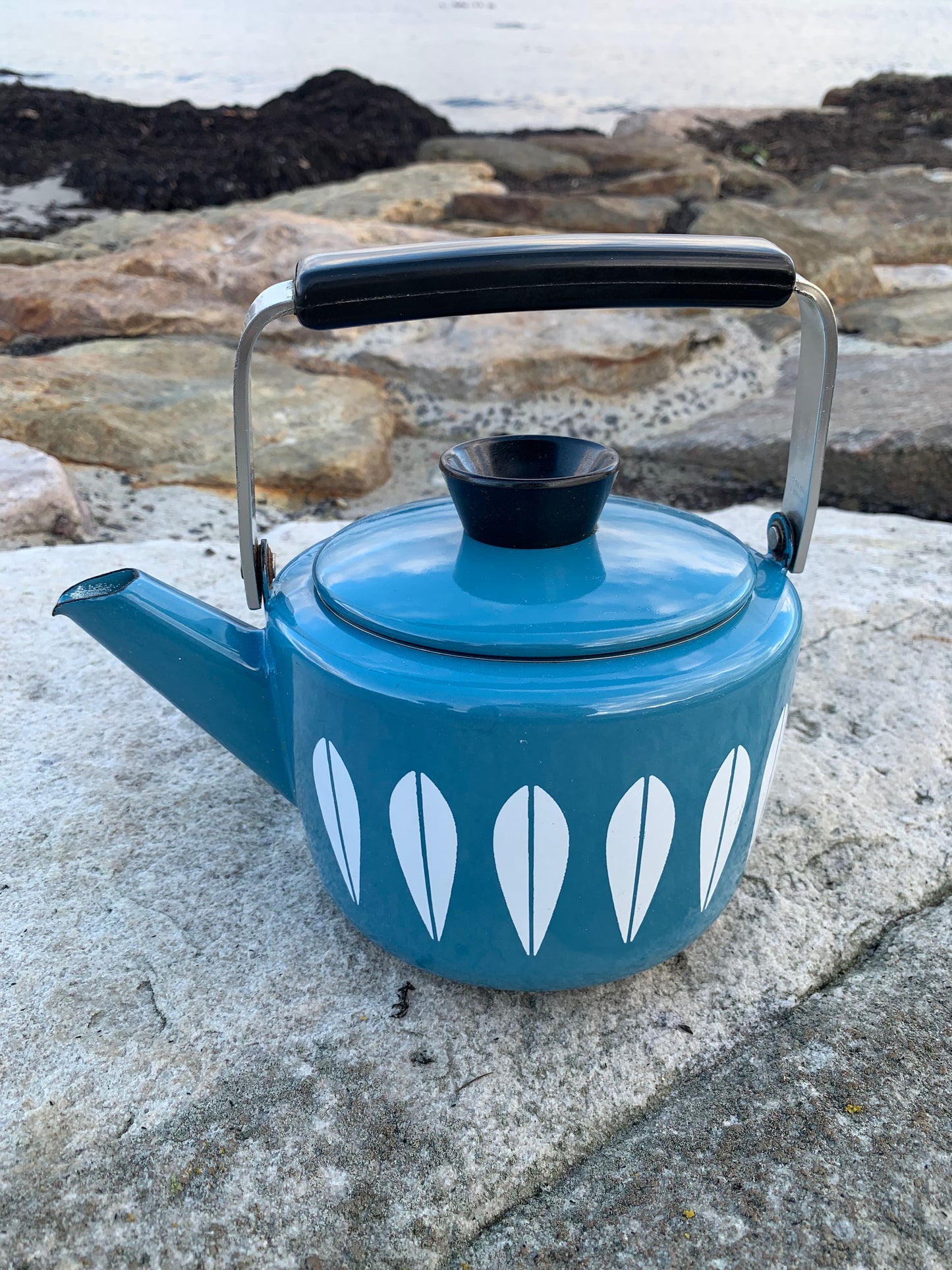 Cathrineholm Lotus Emaille-Wasserkocher