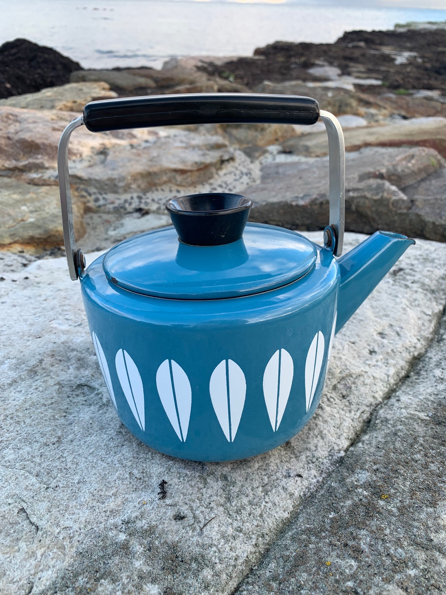 Cathrineholm Lotus Emaille-Wasserkocher