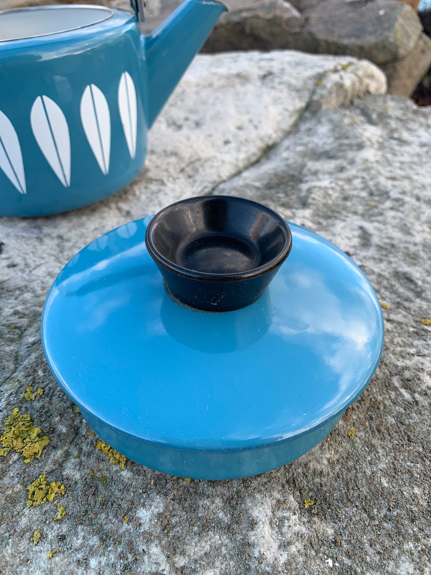 Cathrineholm Lotus Emaille-Wasserkocher