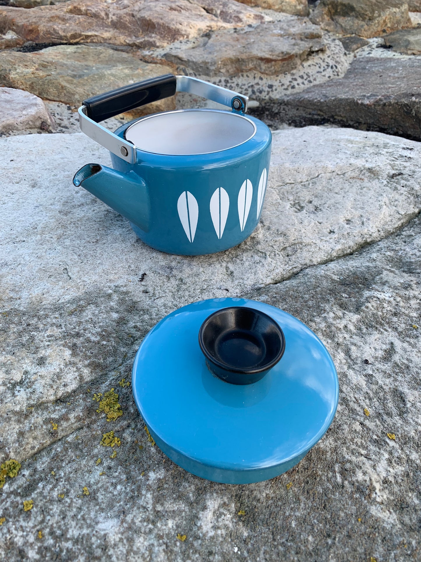 Cathrineholm Lotus Emaille-Wasserkocher