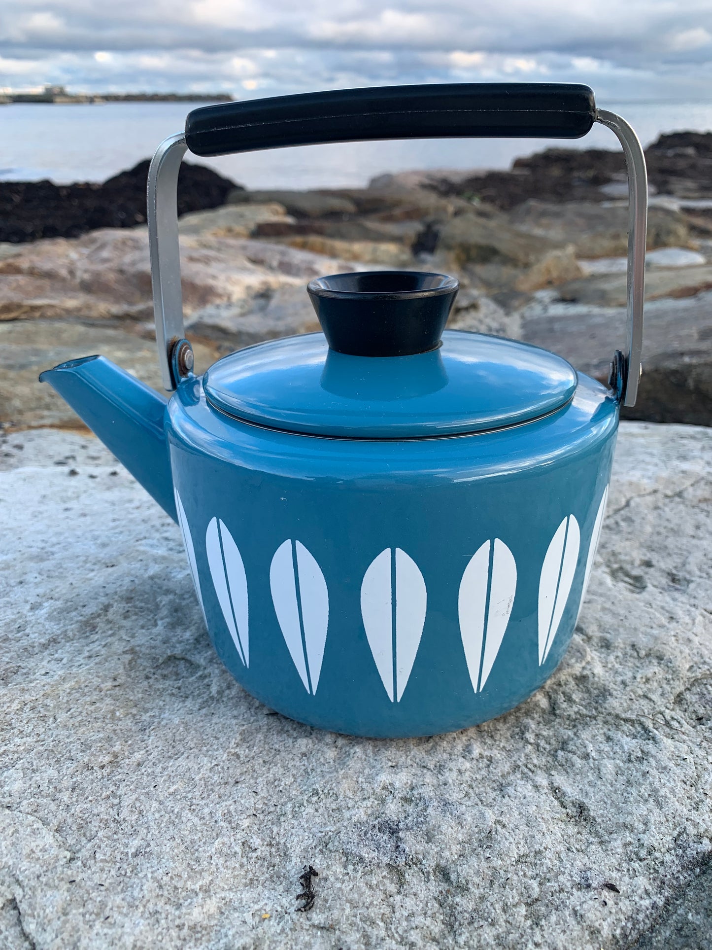 Cathrineholm Lotus Emaille-Wasserkocher