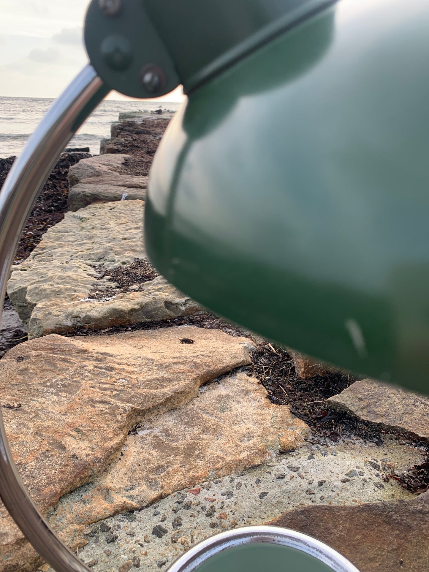 Escolux - Original grün