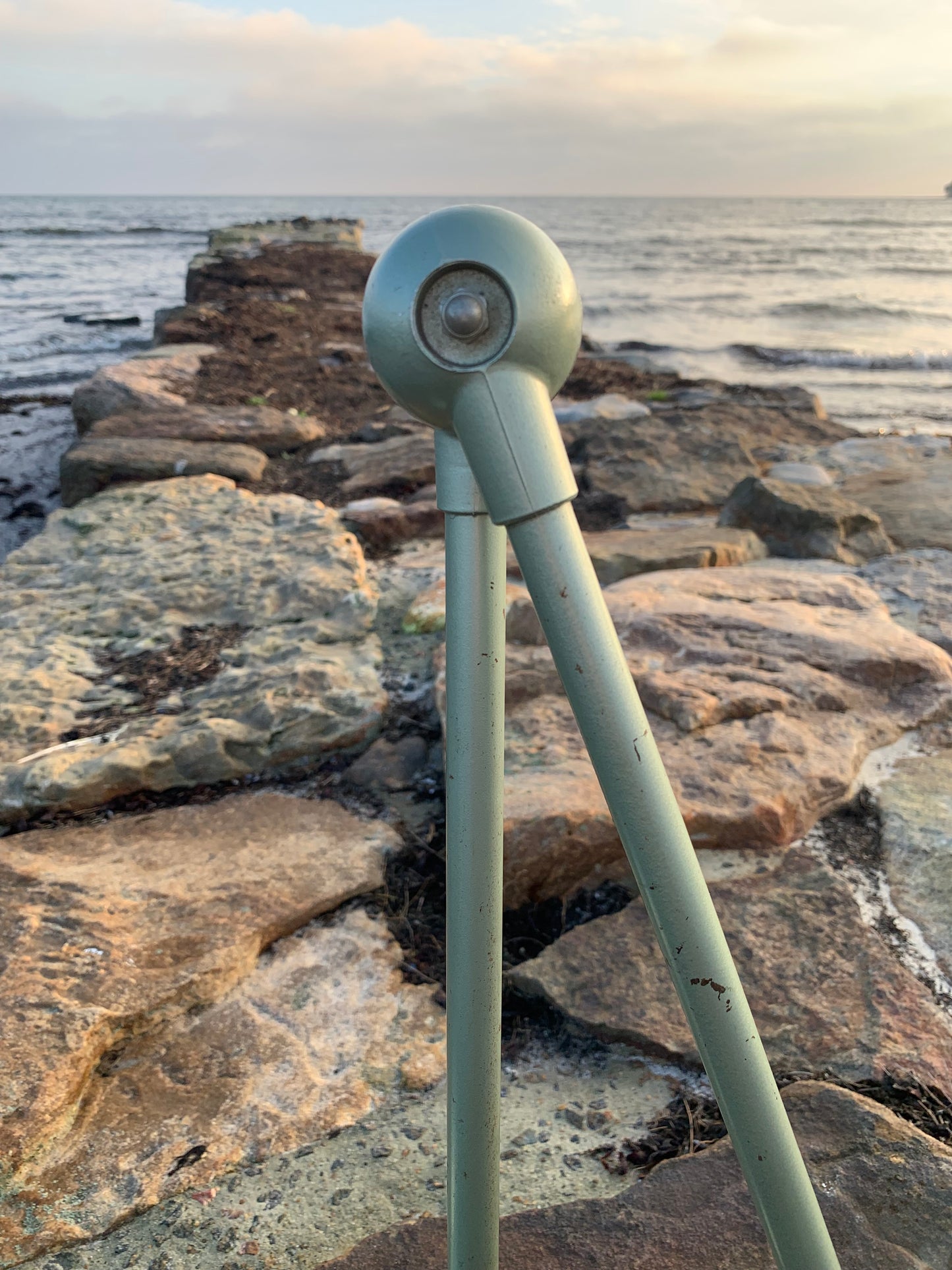 Jieldé Wand-/Deckenleuchte mit zwei Armen - Grün