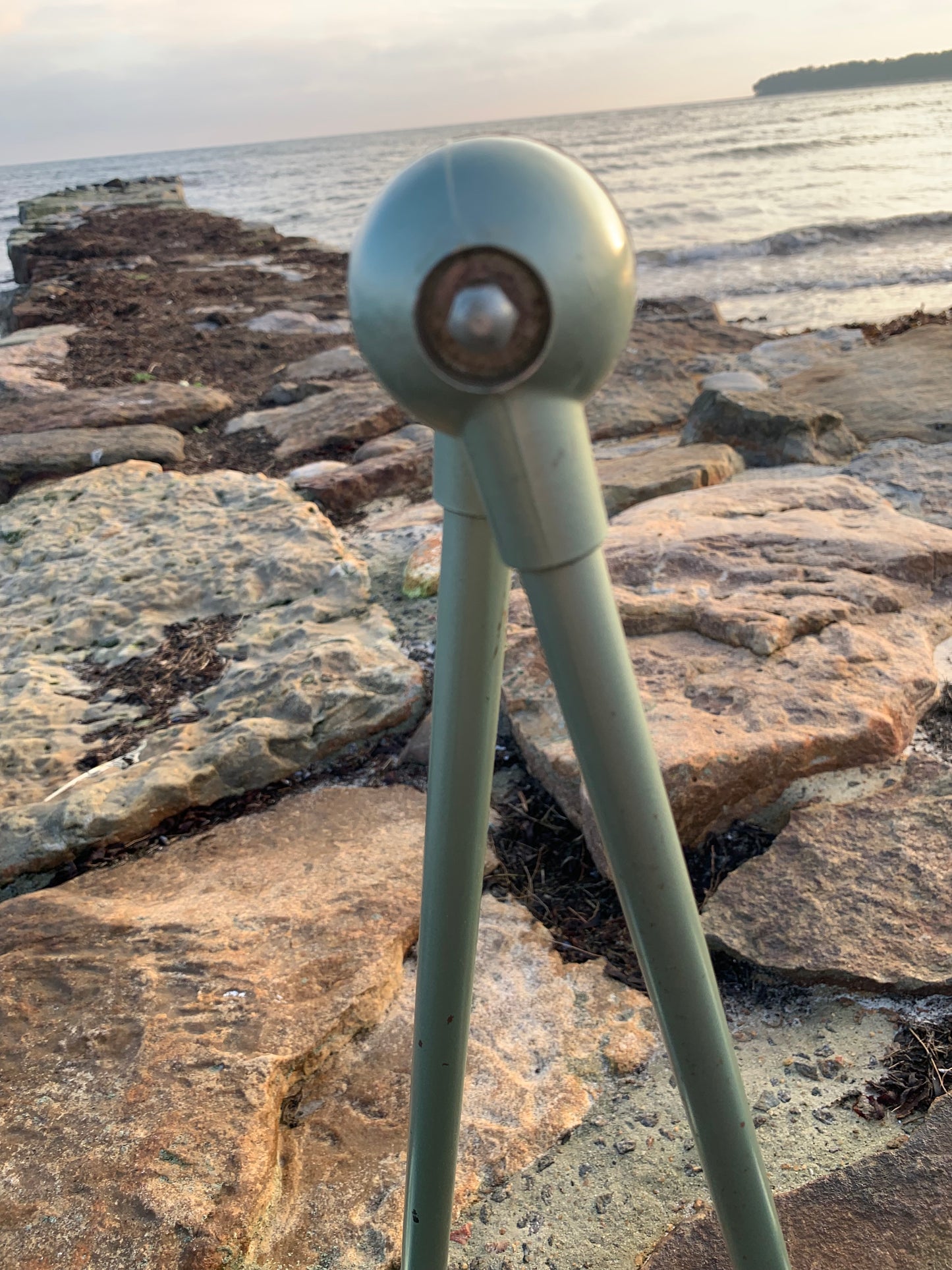 Jieldé Wand-/Deckenleuchte mit zwei Armen - Grün