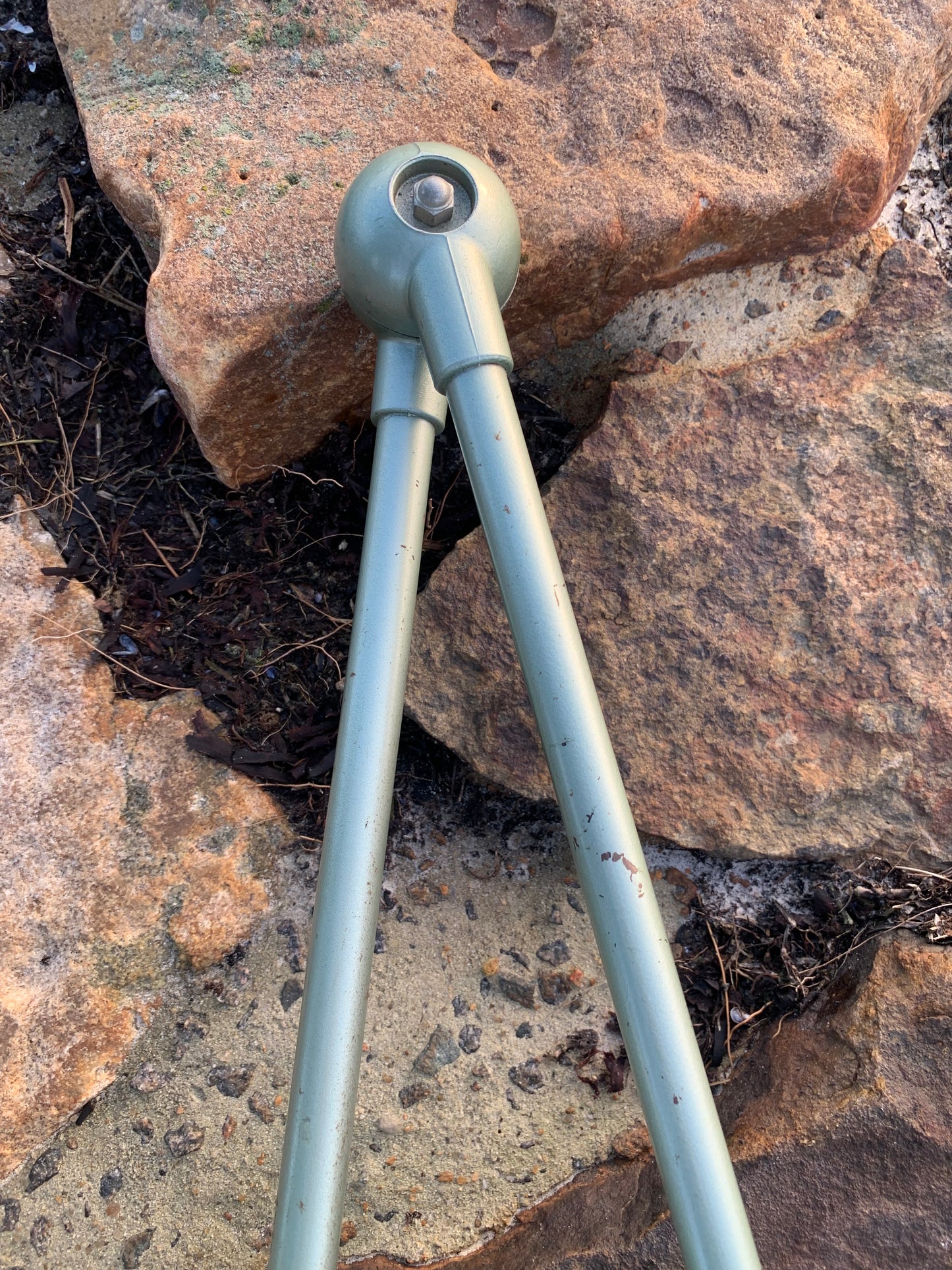 Jieldé Wand-/Deckenleuchte mit zwei Armen - Grün