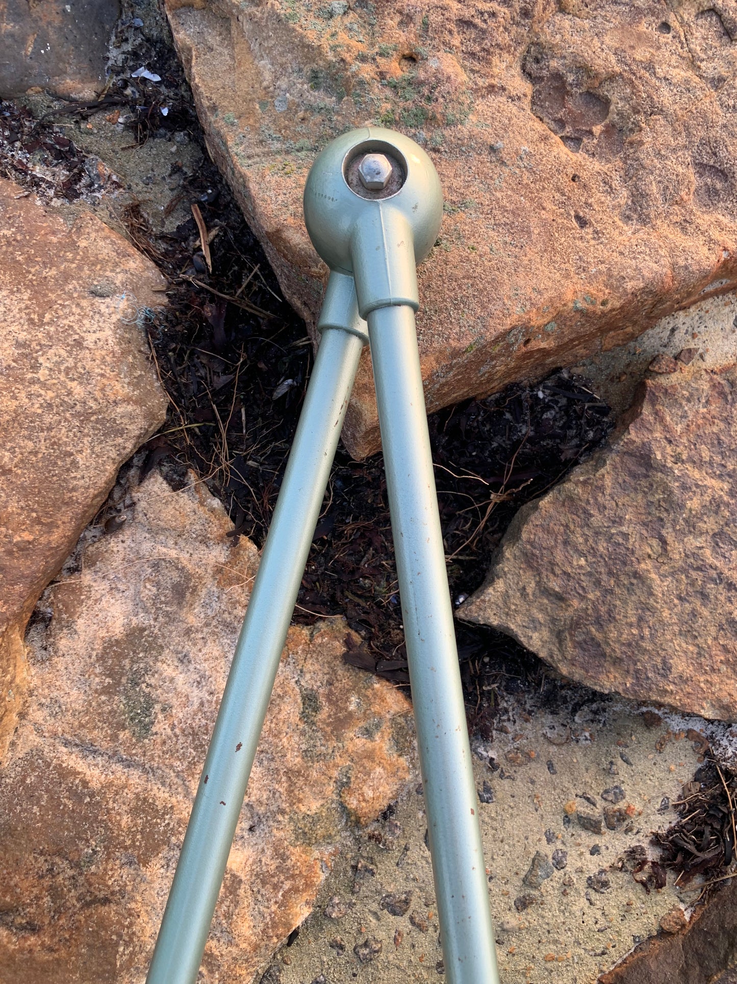 Jieldé Wand-/Deckenleuchte mit zwei Armen - Grün